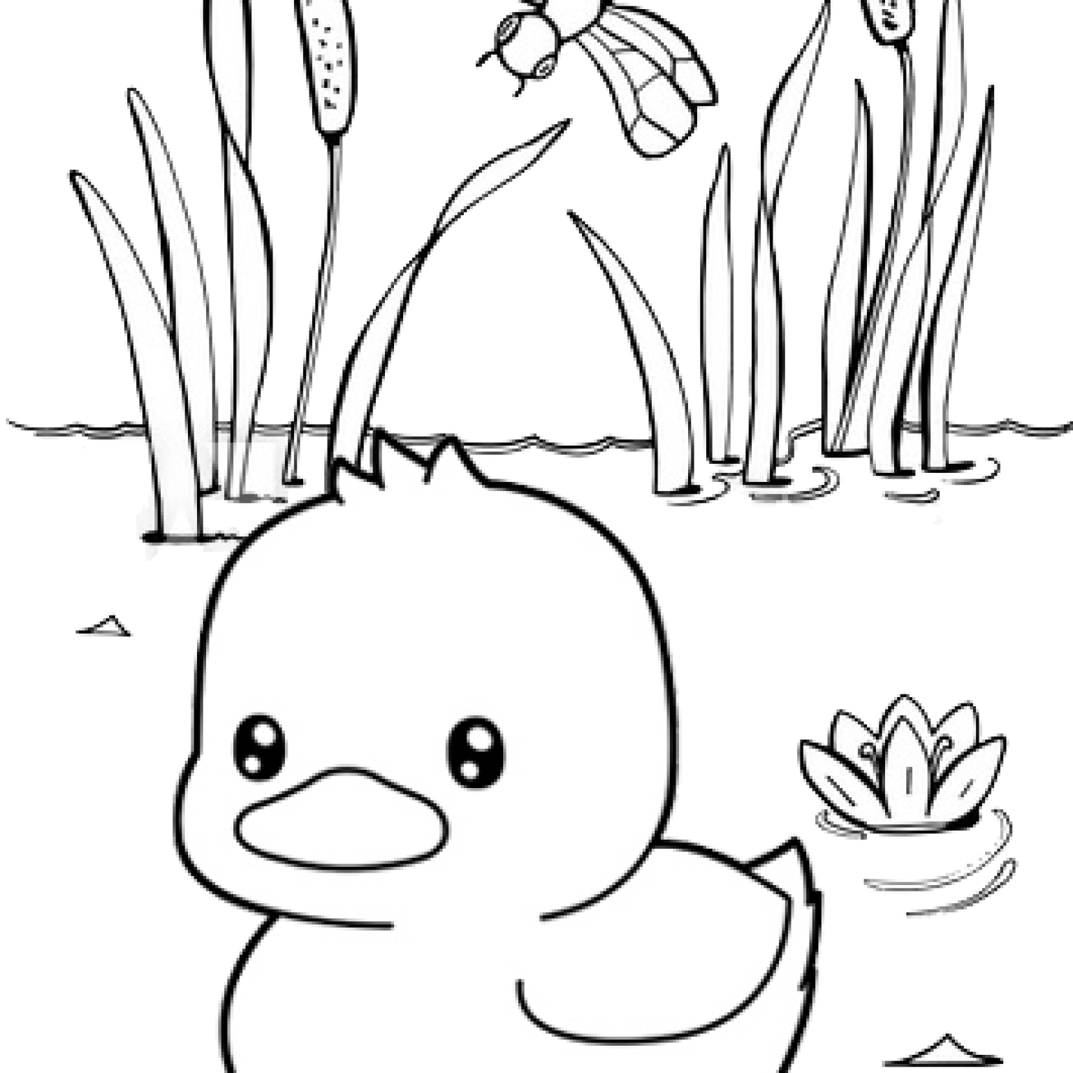 14 Cute Duck Coloring Pages For Kids Mitraland