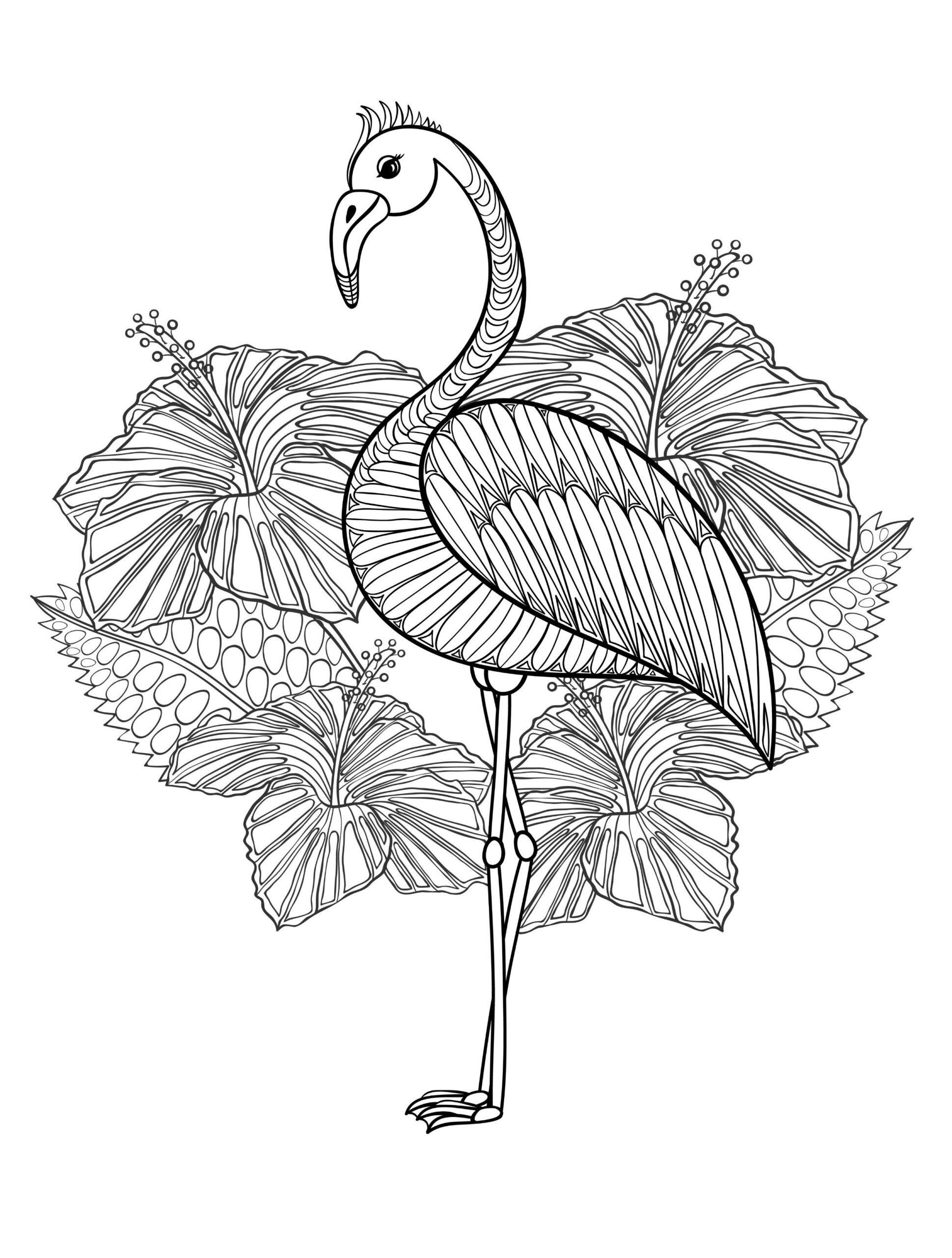 20 Gorgeous Free Printable Adult Coloring Pages Coloring Pages Flamingo Coloring Page Free