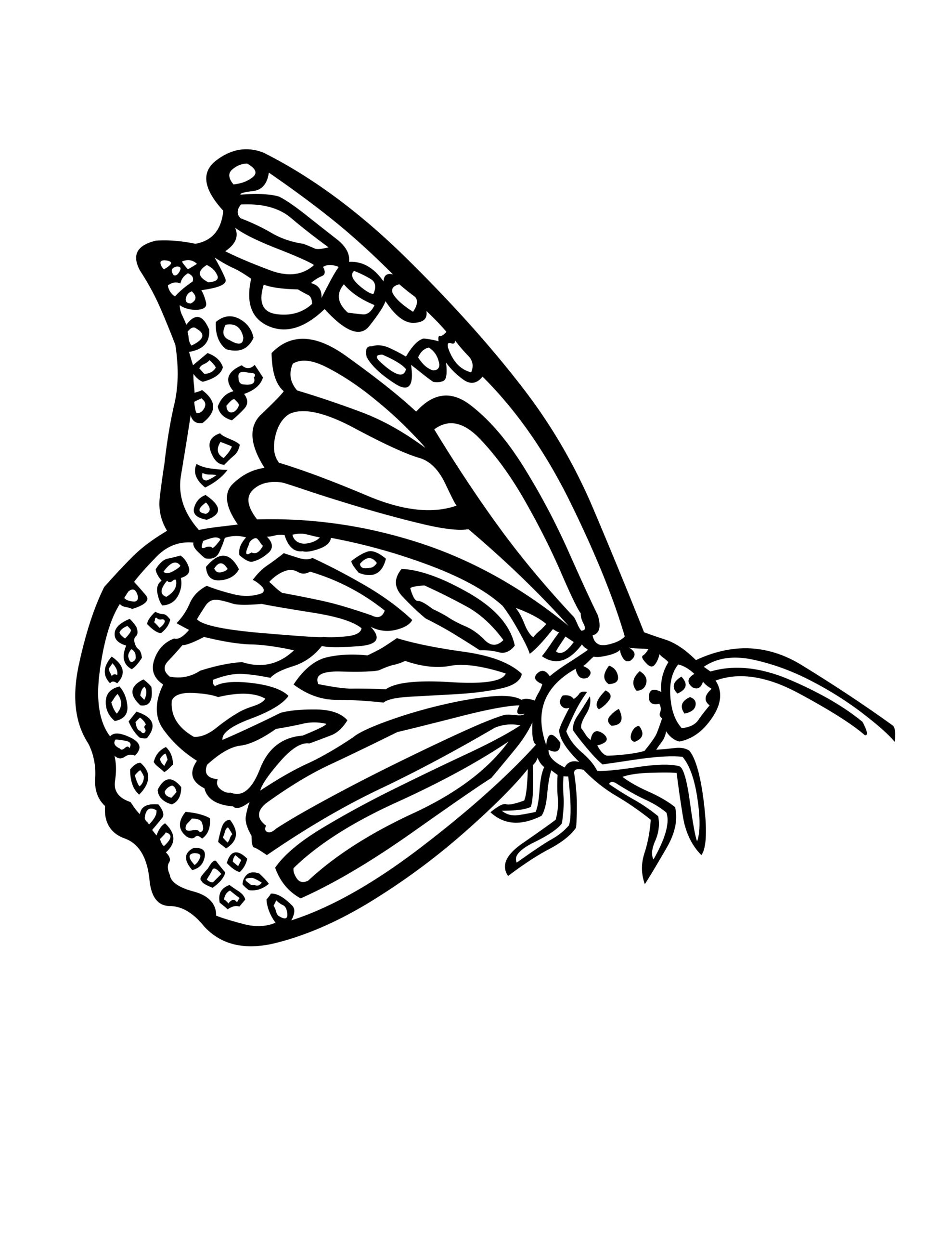 Free Printable Butterfly Coloring Pages