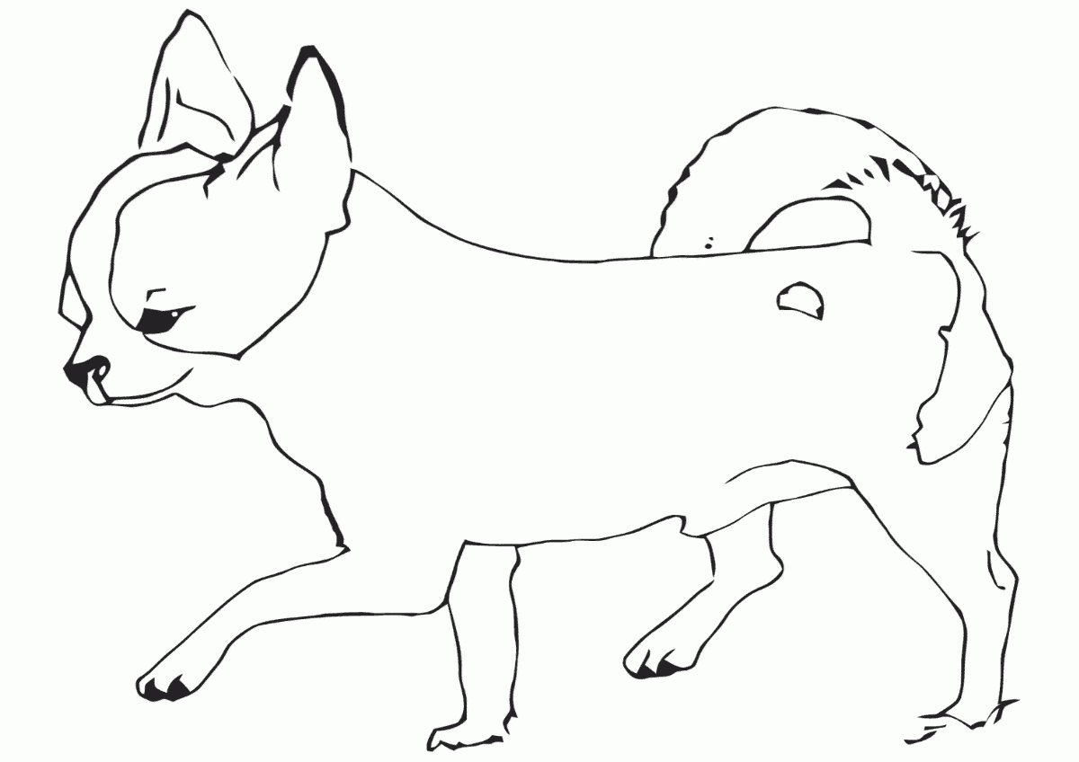Chihuahua Coloring Pages Best Coloring Pages For Kids