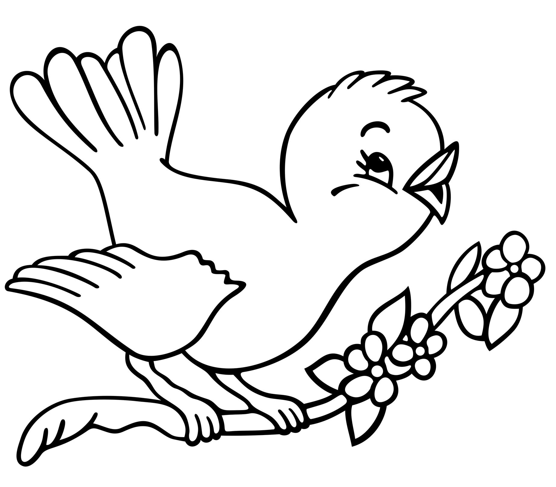 Cuckoo Bird Coloring Pages