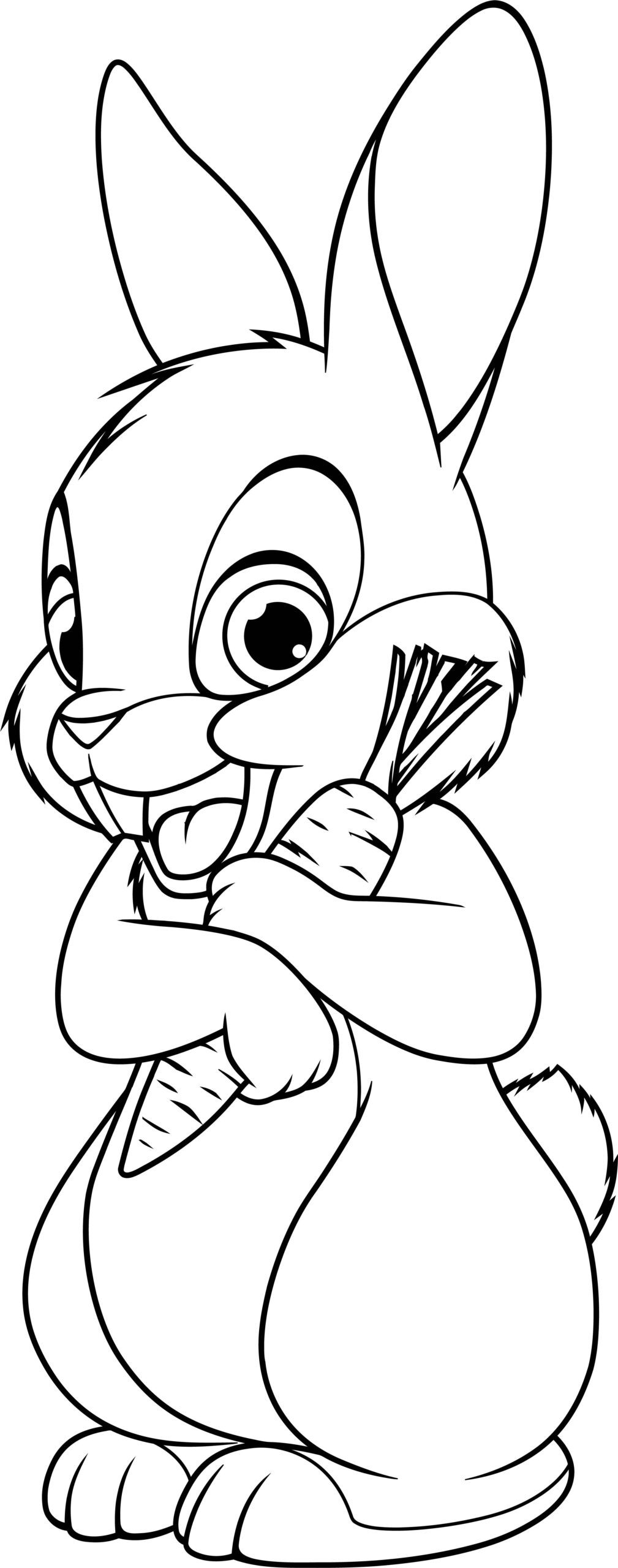 Free Printable Coloring Pages Bunnies