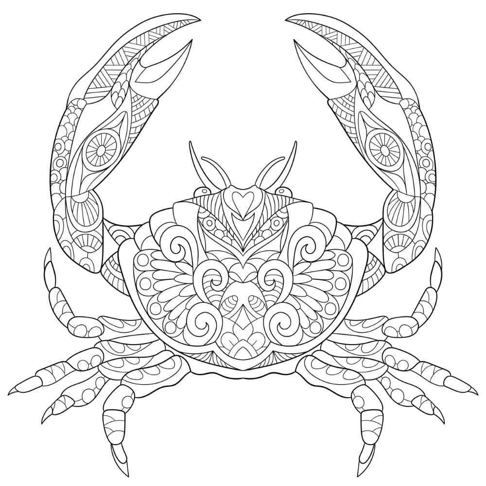 Free CRAB Coloring Pages For Download Printable PDF VerbNow