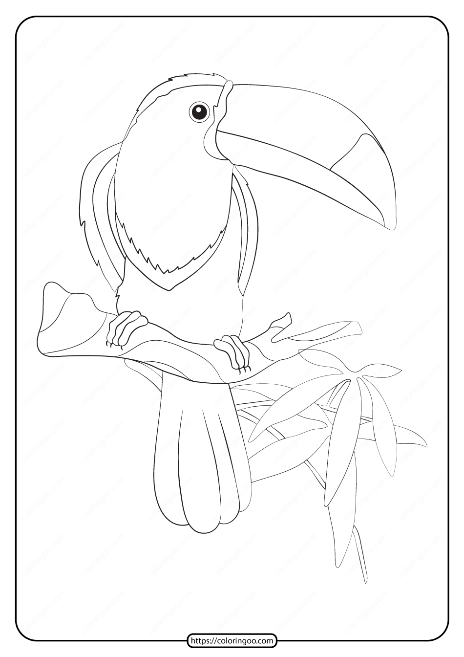 Free Printable Toucan Coloring Page