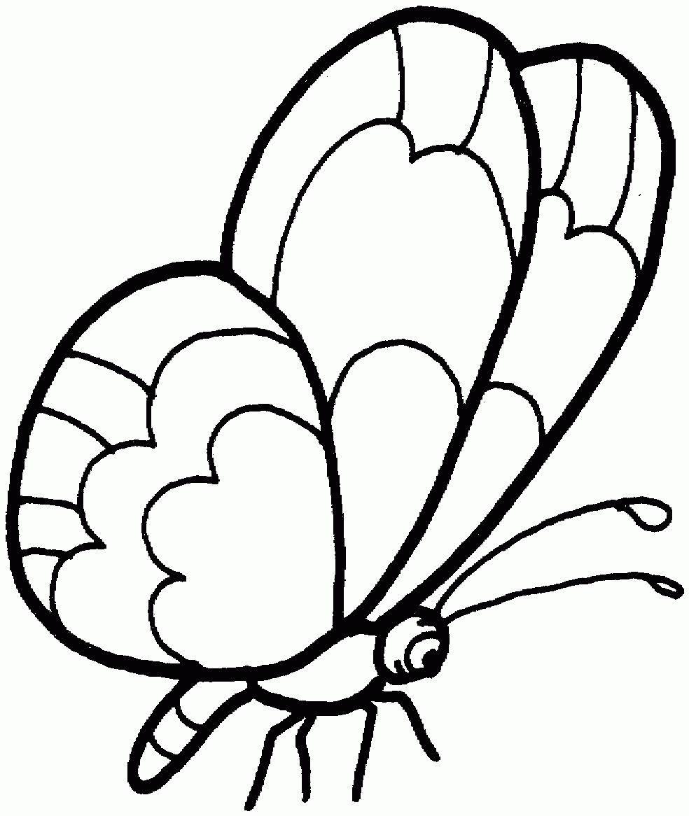 Printable Butterfly Coloring Page