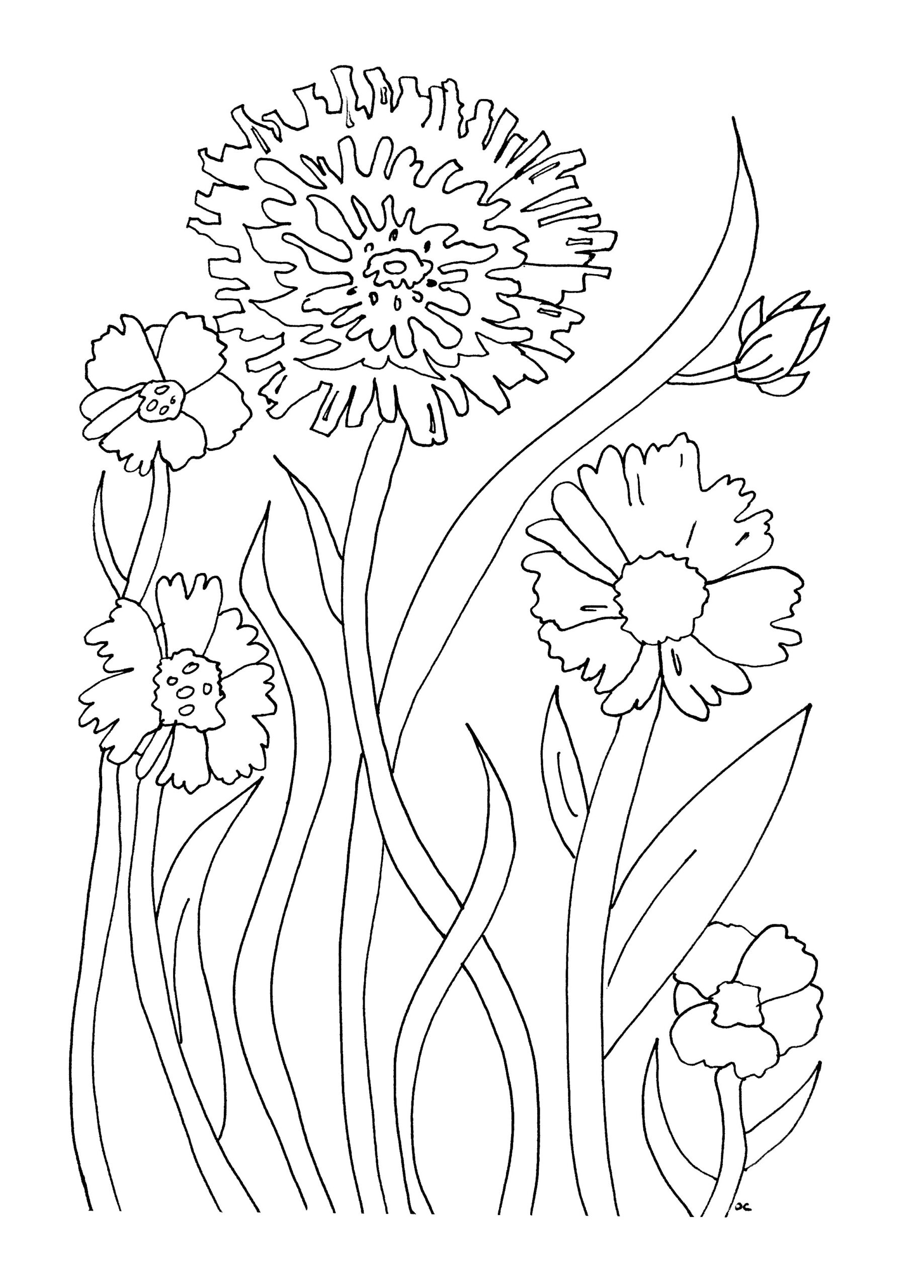 Flowers Coloring Pages Printable