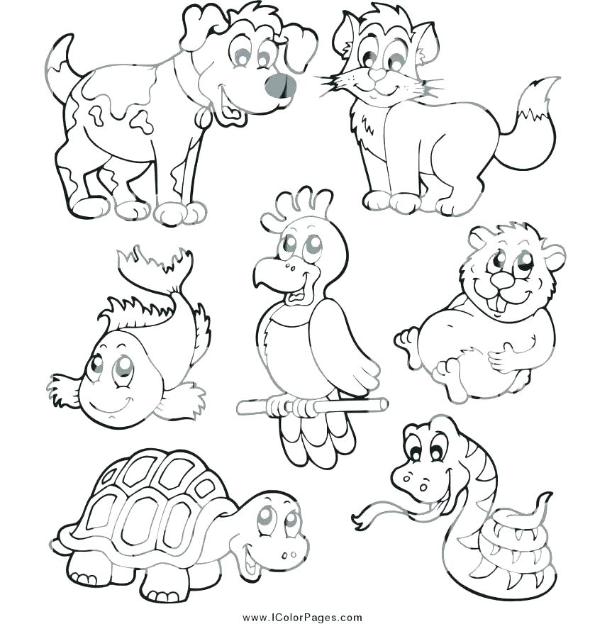 Free Printable Pet Coloring Pages