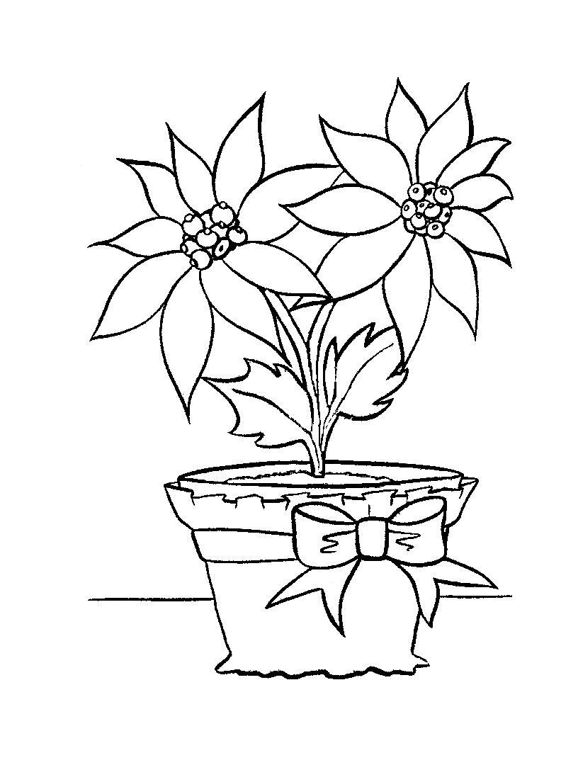 Poinsettia Coloring Pages Printable