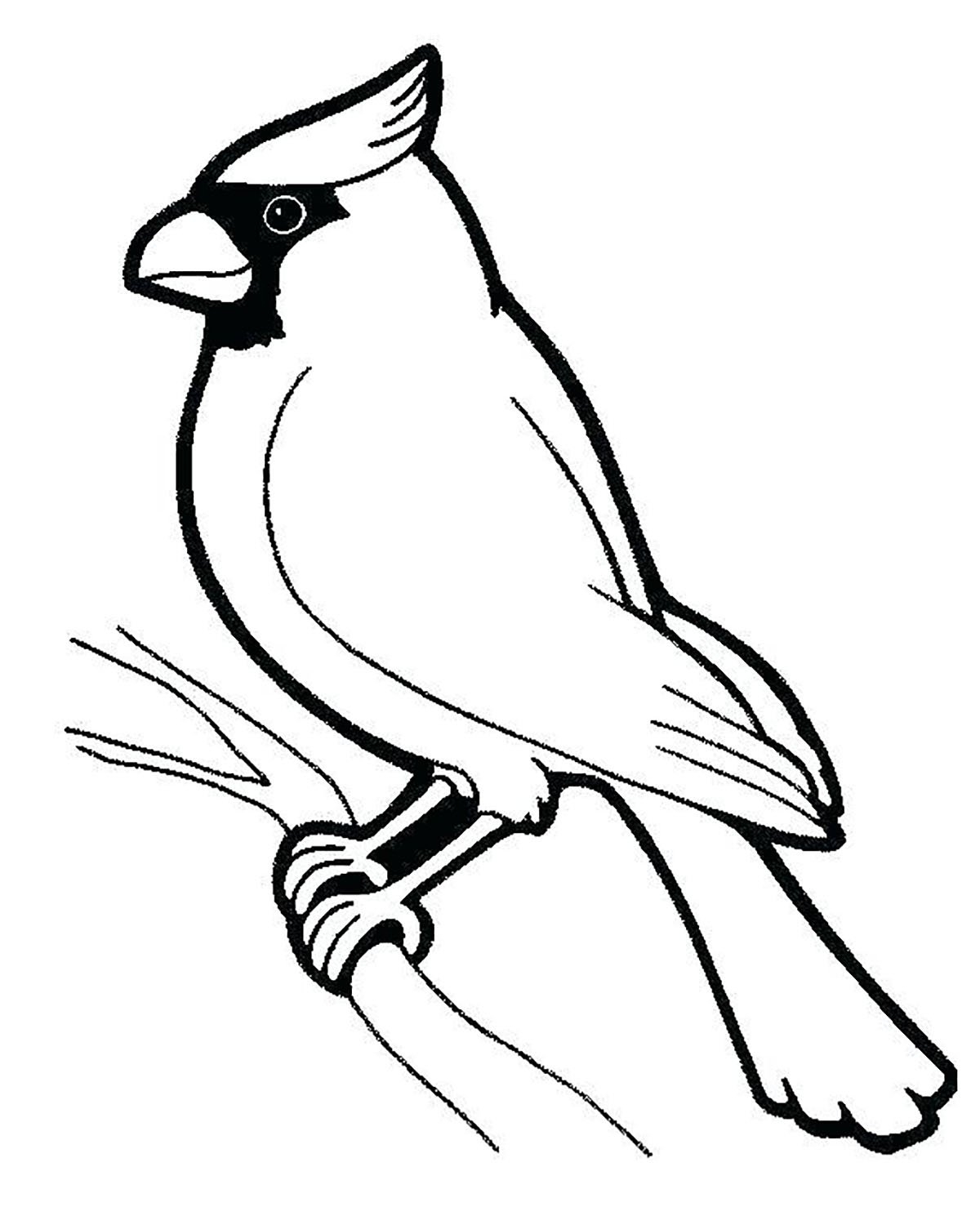 Perched Bird Bird Coloring Pages For Kids