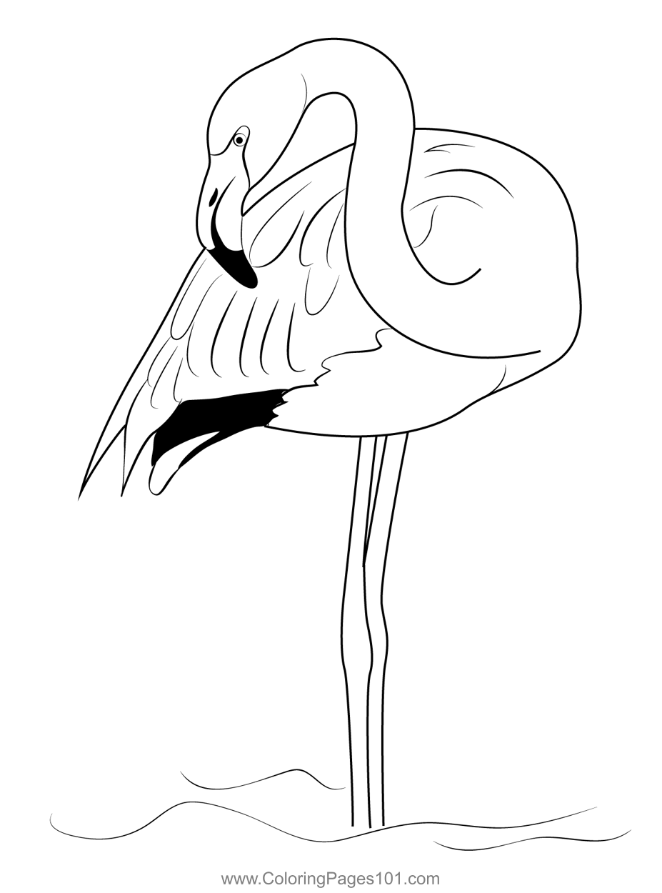 Pink Flamingo Birds Coloring Page For Kids Free Flamingos Printable Coloring Pages Online For