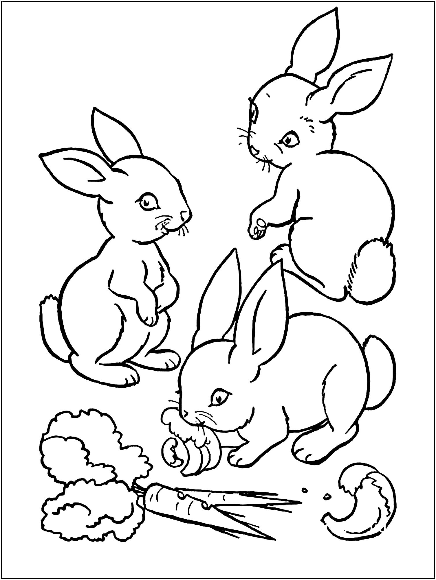 Printable Bunnies Coloring Page For Kids Rabbit Bunny Coloring Pages For Kids