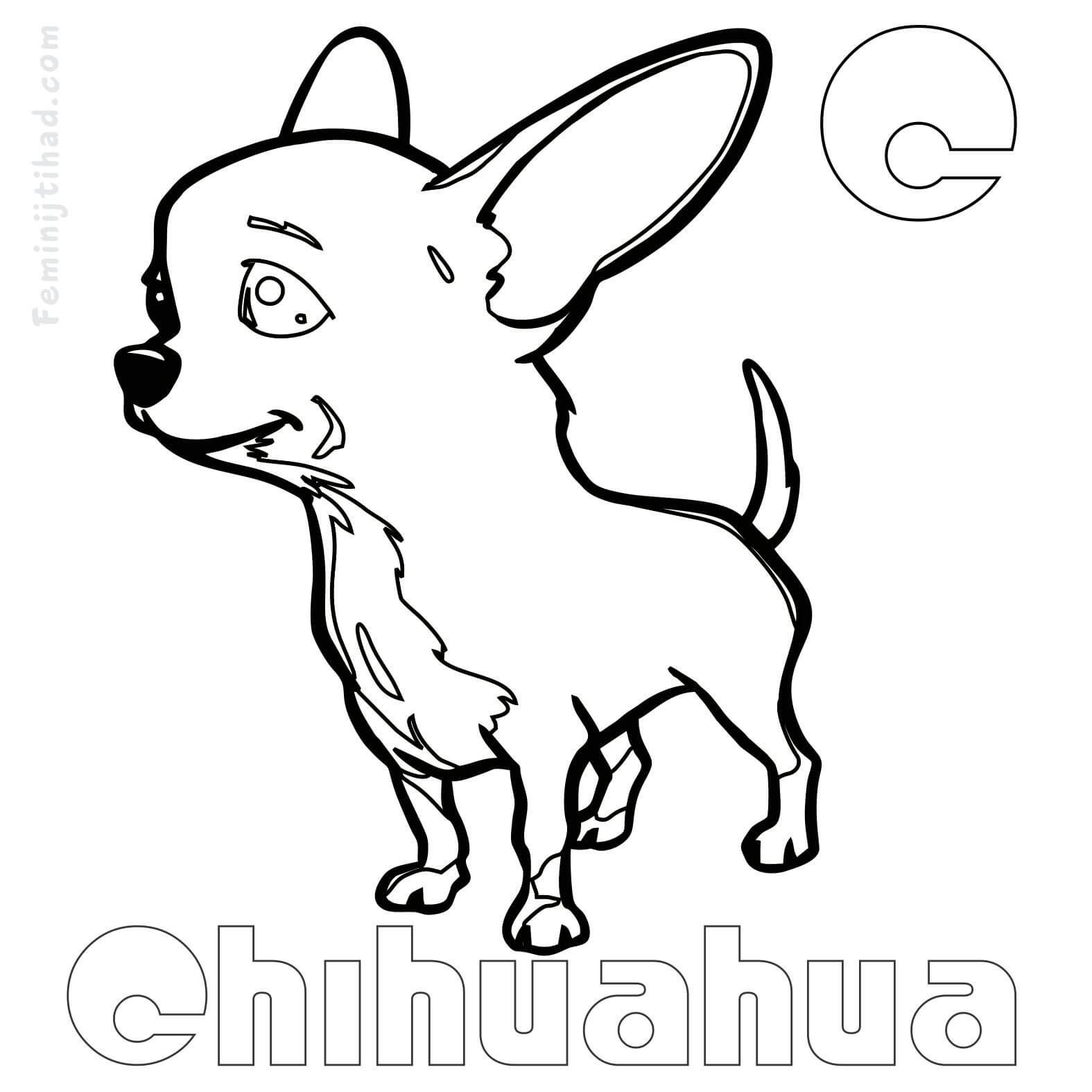 Printable Chihuahua Coloring Pages Free Coloring Sheets Dog Coloring Book Dog Coloring Page