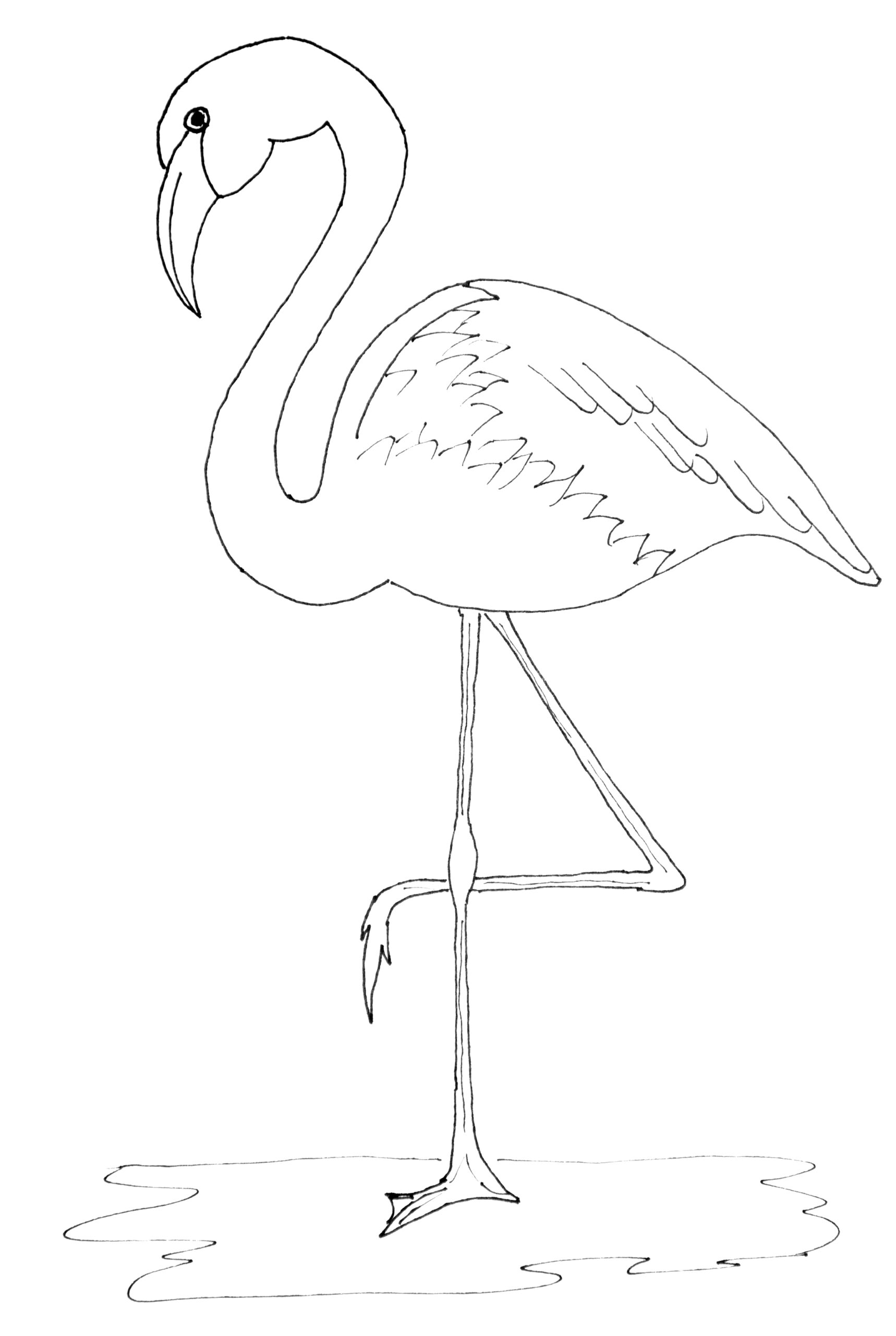 Printable Flamingo Coloring Pages