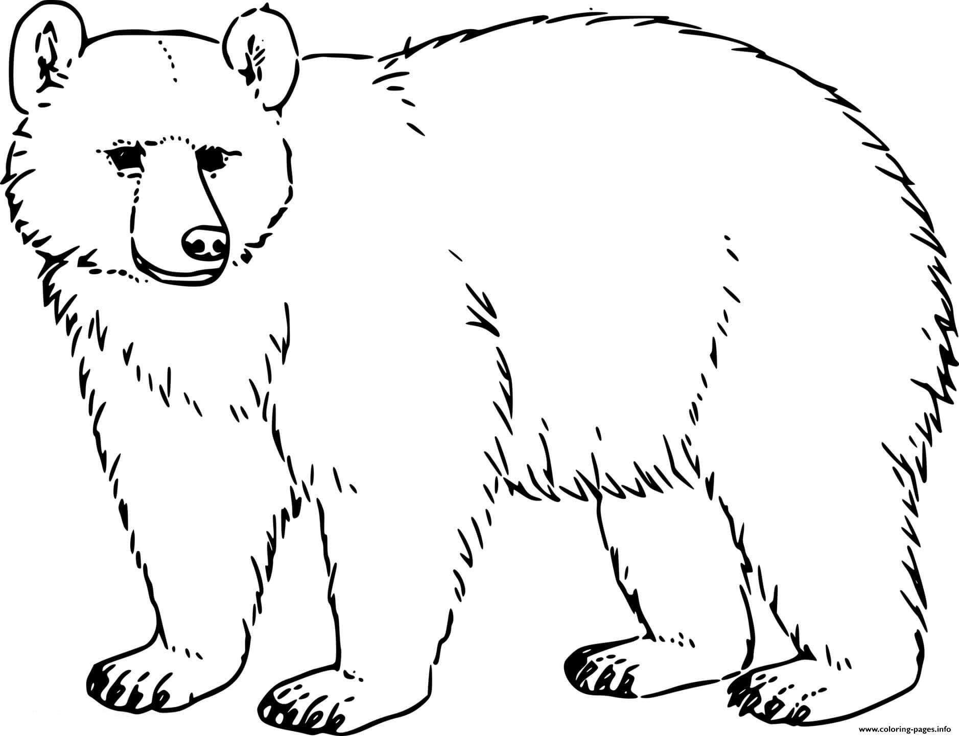 Realistic Black Bear Coloring Page Printable