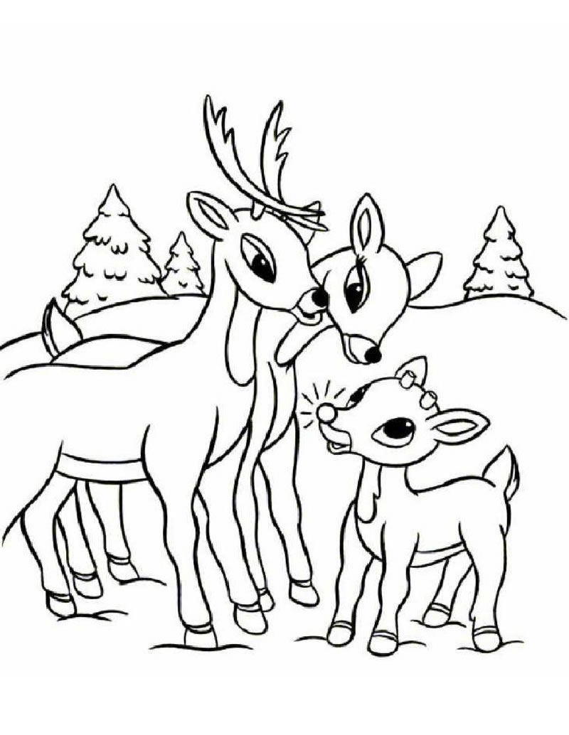 Reindeer Coloring Pages Kidsuki