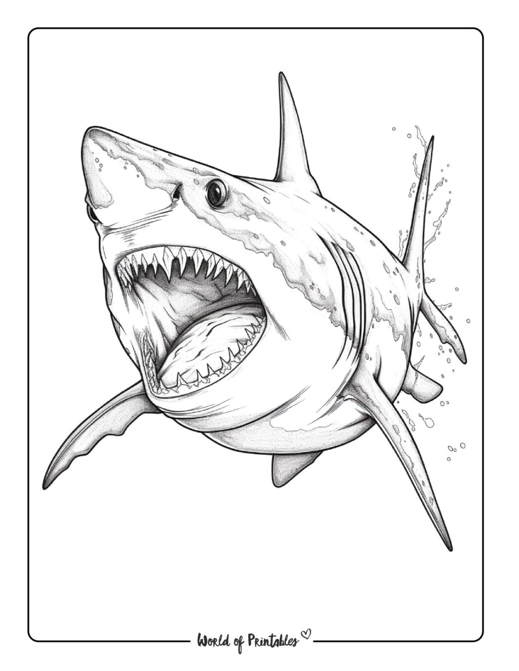 Shark Coloring Pages For Kids Adults World Of Printables