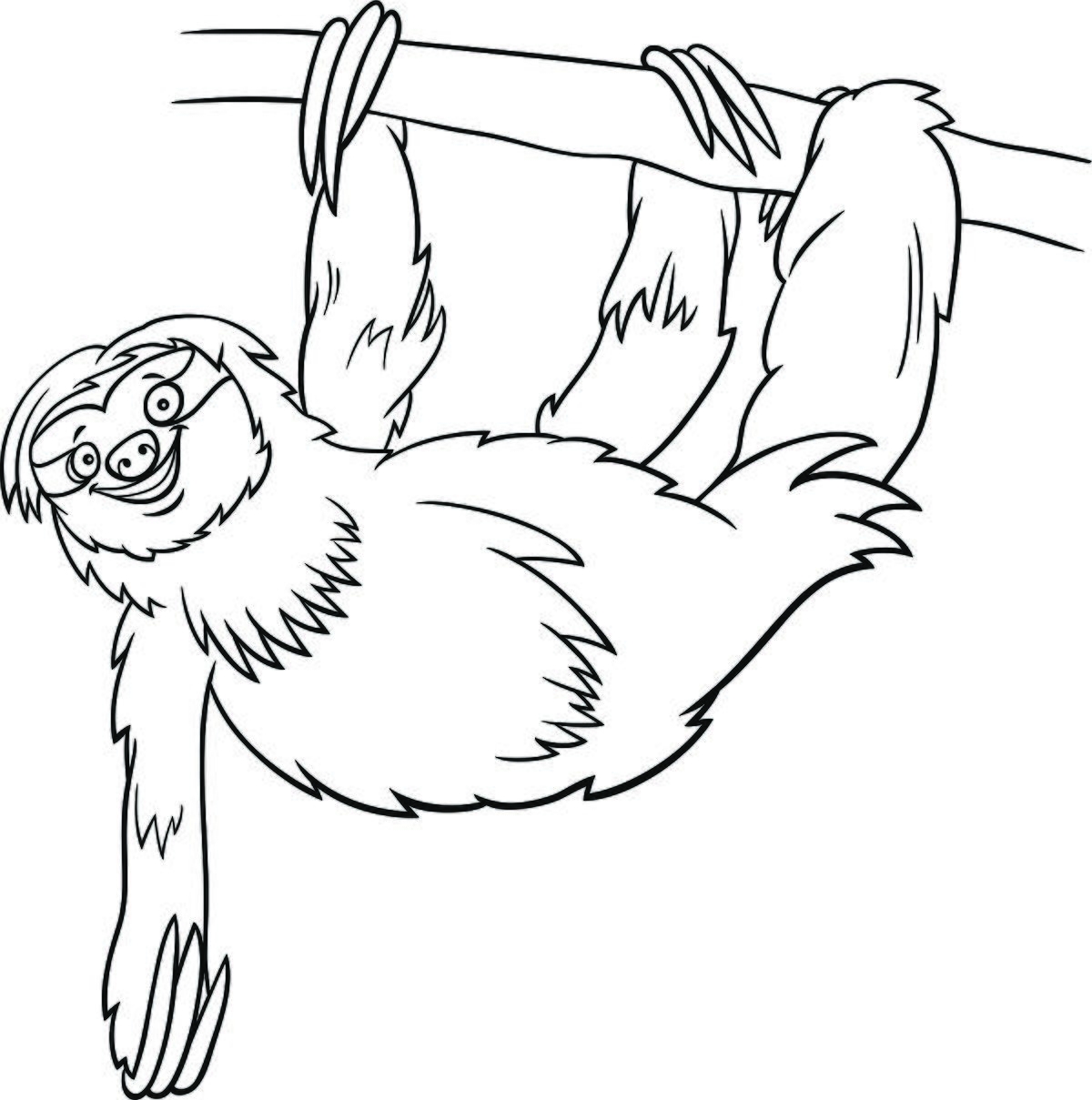Sloth Printable Coloring Pages