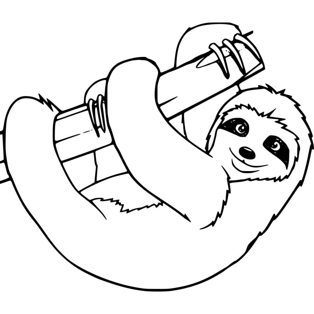 Sloth Coloring Pages Free To Print XColorings