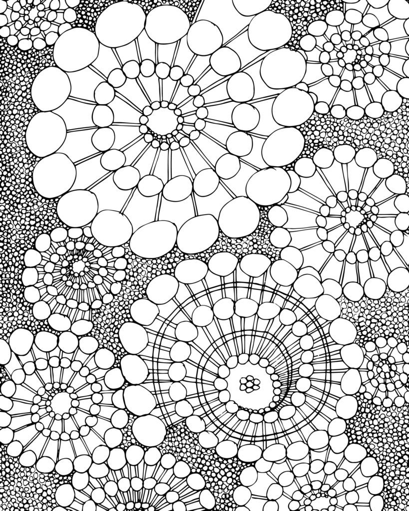 Spiral Coloring Pages At GetColorings Free Printable Colorings Pages To Print And Color