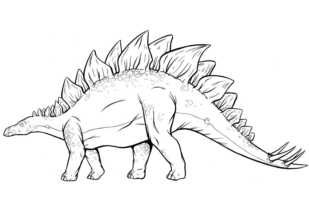 Stegosaurus Printable Coloring Pages Customize And Print