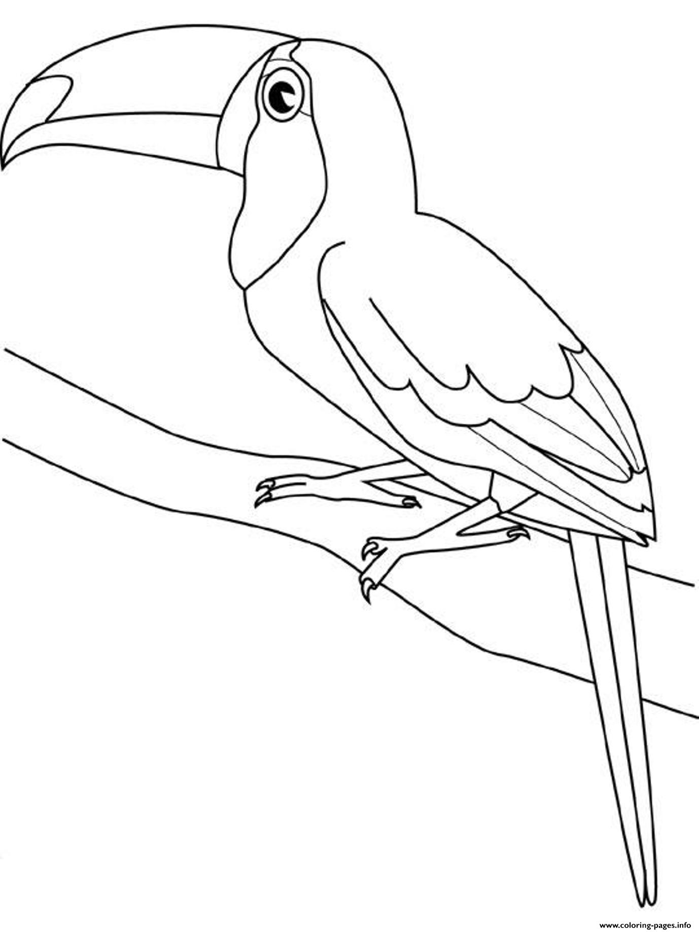 Toucan Bird For Kids458f Coloring Page Printable