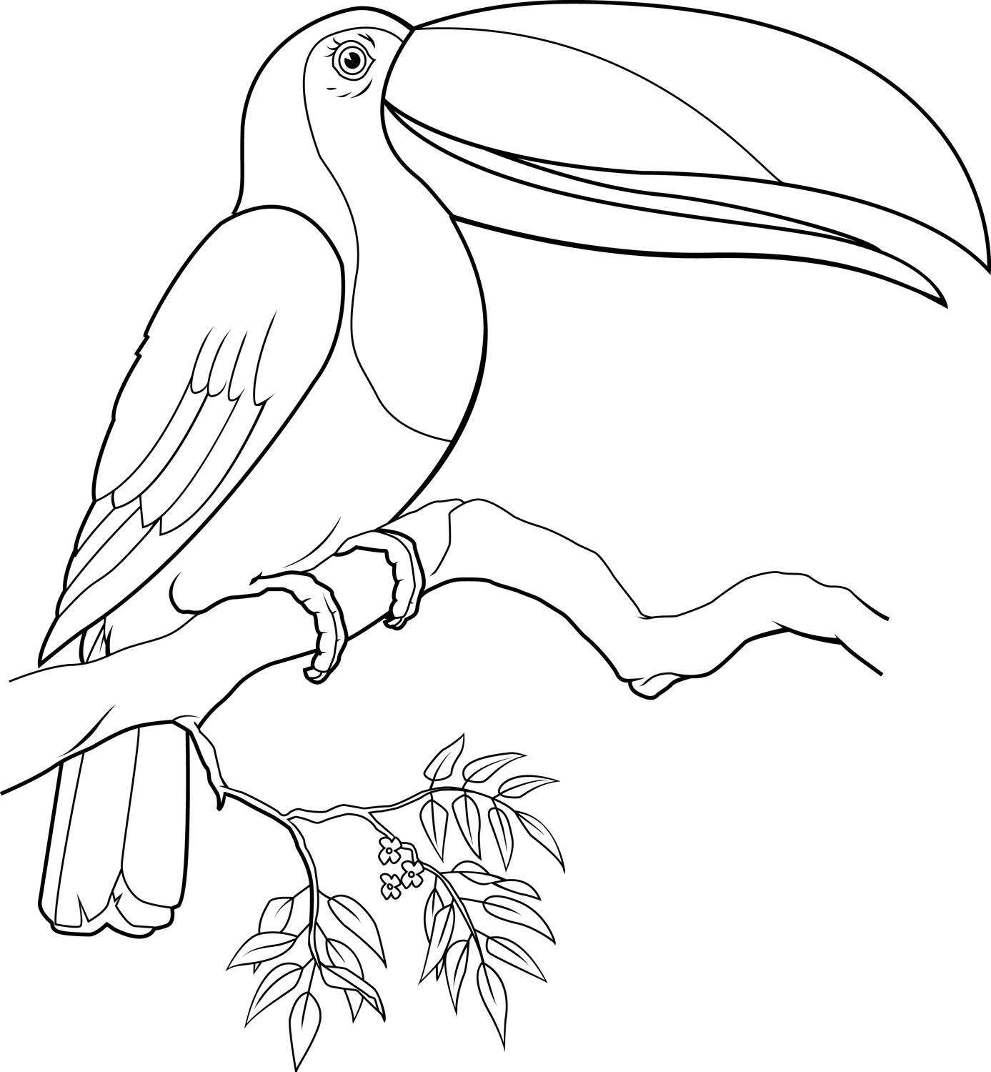 Toucan Coloring Pages Best Coloring Pages For Kids