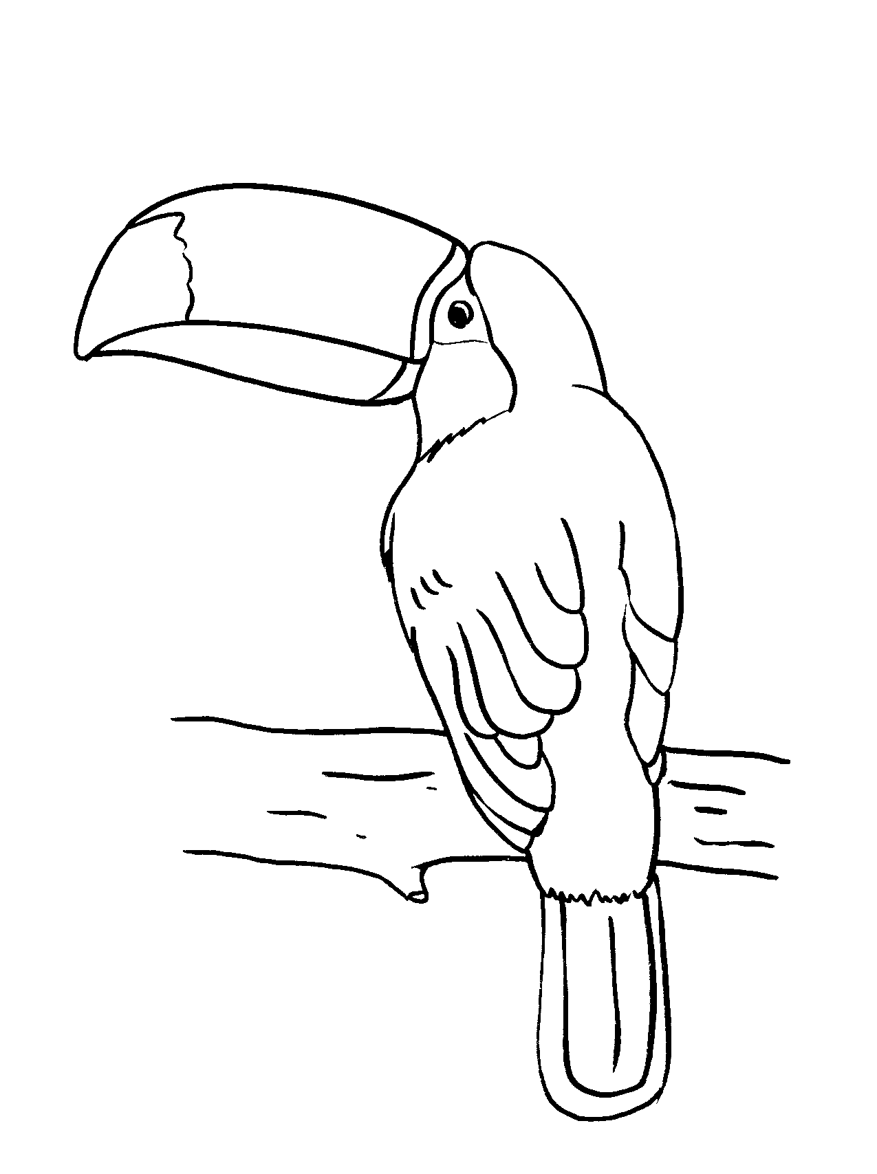Toucan Coloring Pages Best Coloring Pages For Kids