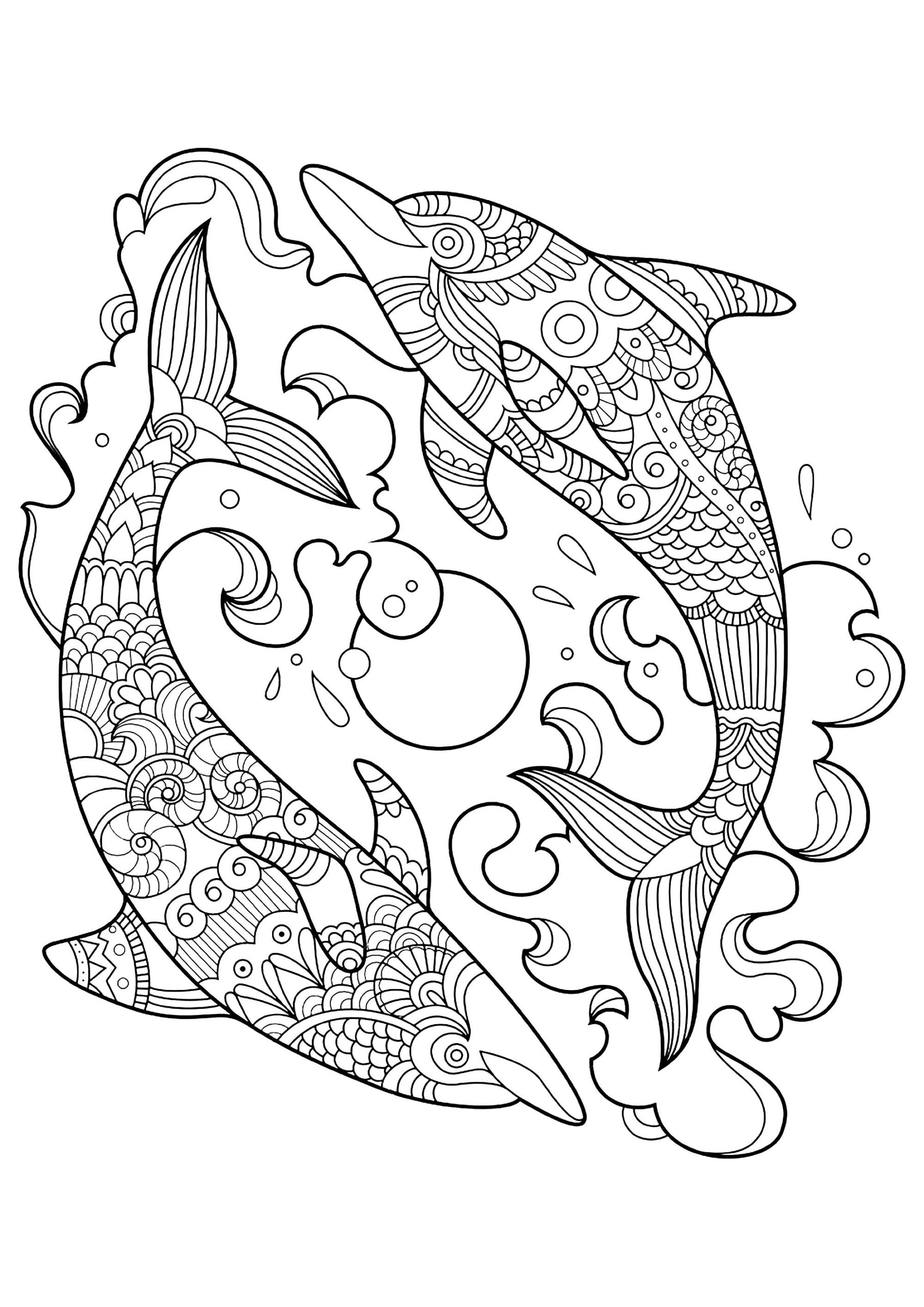 Two Beautiful Dolphins Dolphin Coloring Pages For Kids