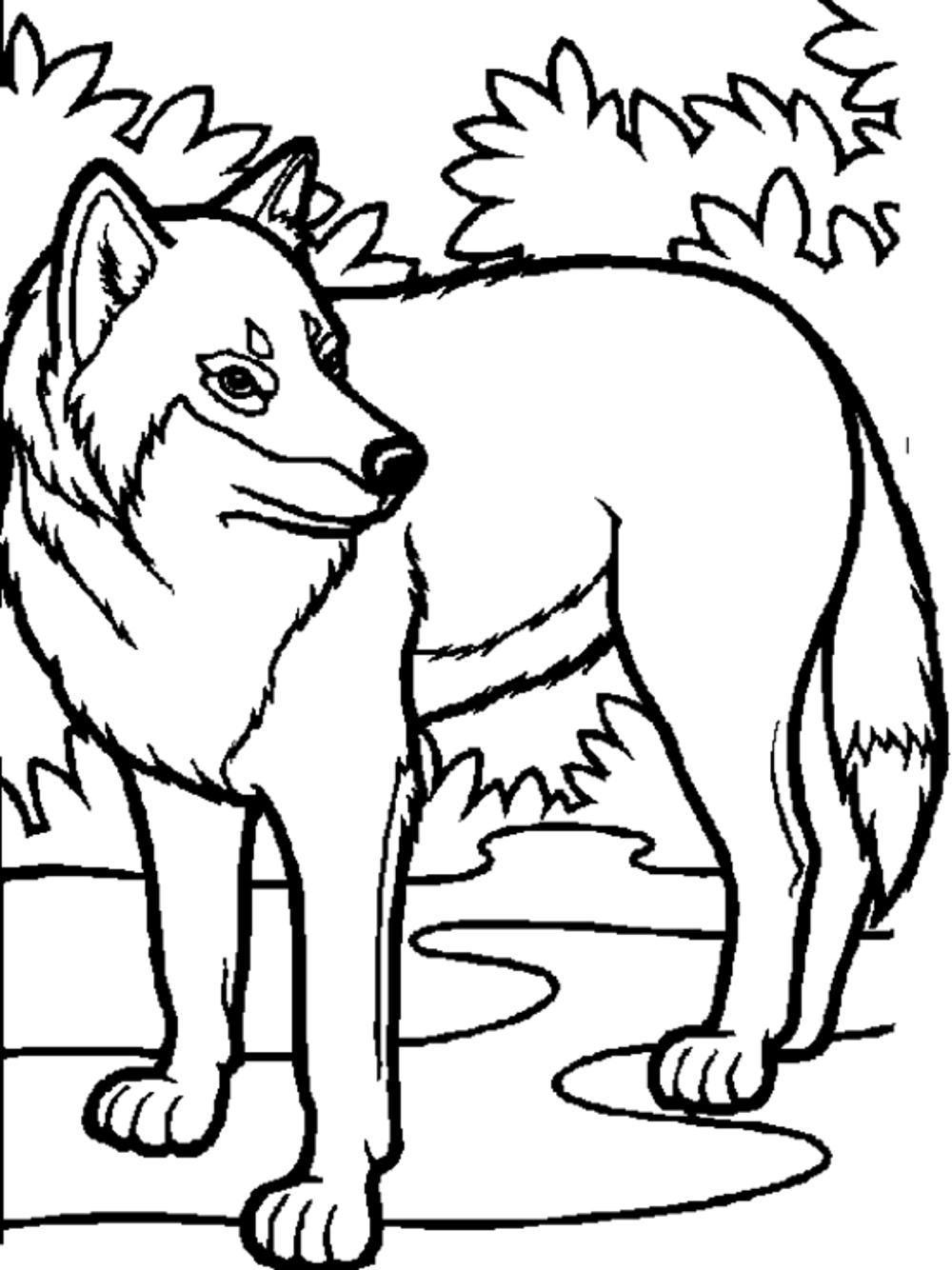 Wolf Pack Coloring Pages Printable