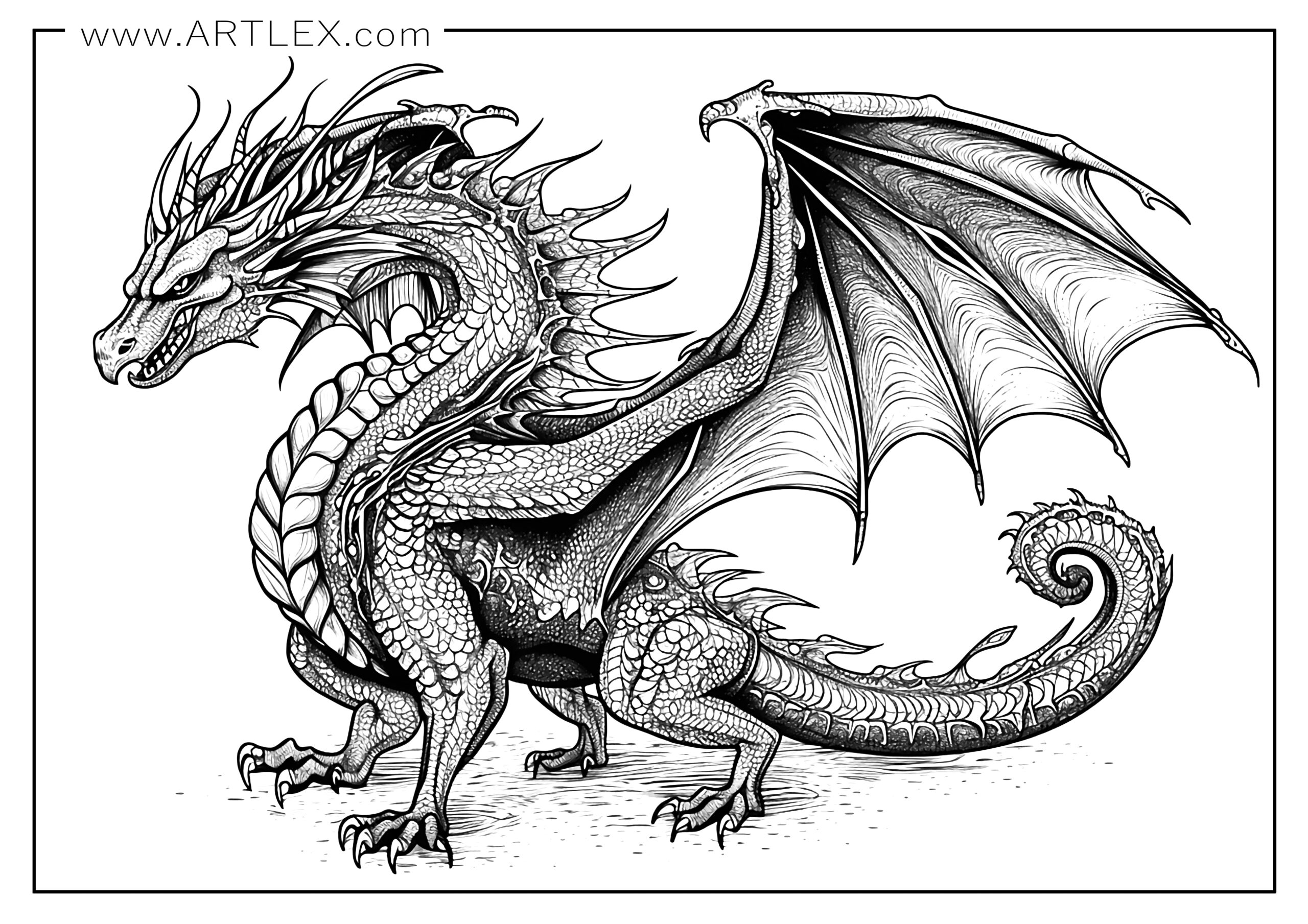 Printable Coloring Pages Cool Dragons