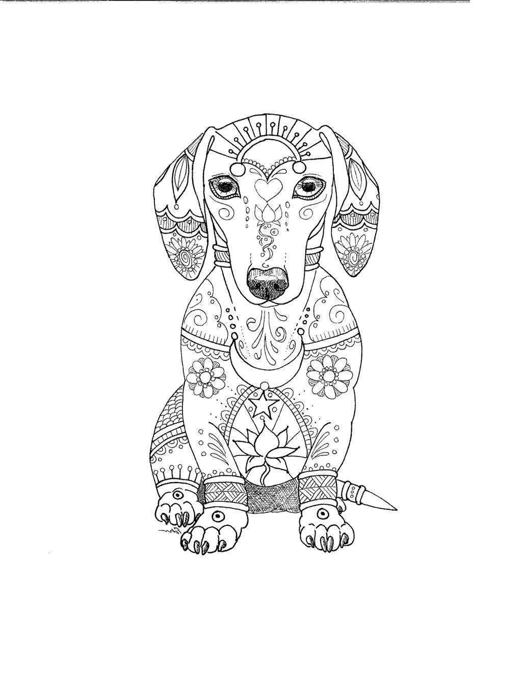 Free Printable Coloring Pages Dachshunds