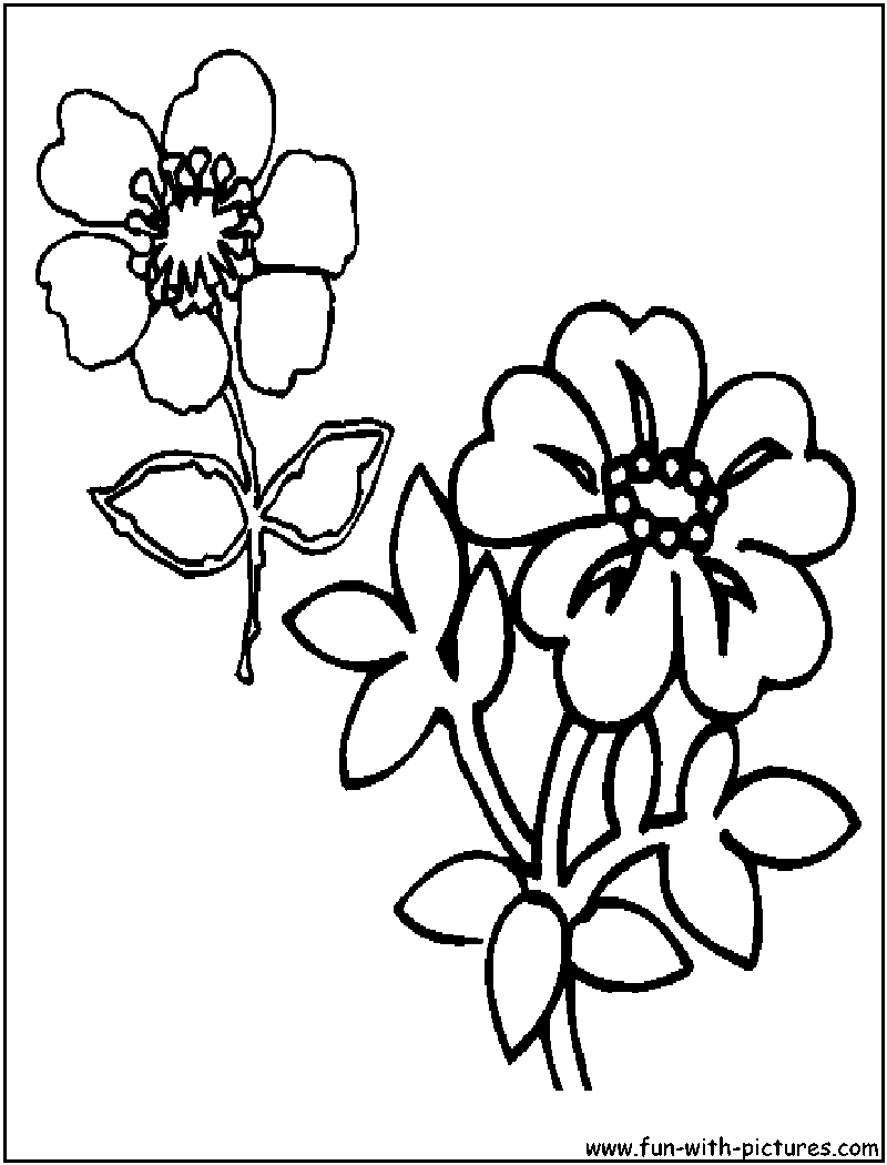 18 Wildflower Coloring Pages Printable Coloring Pages