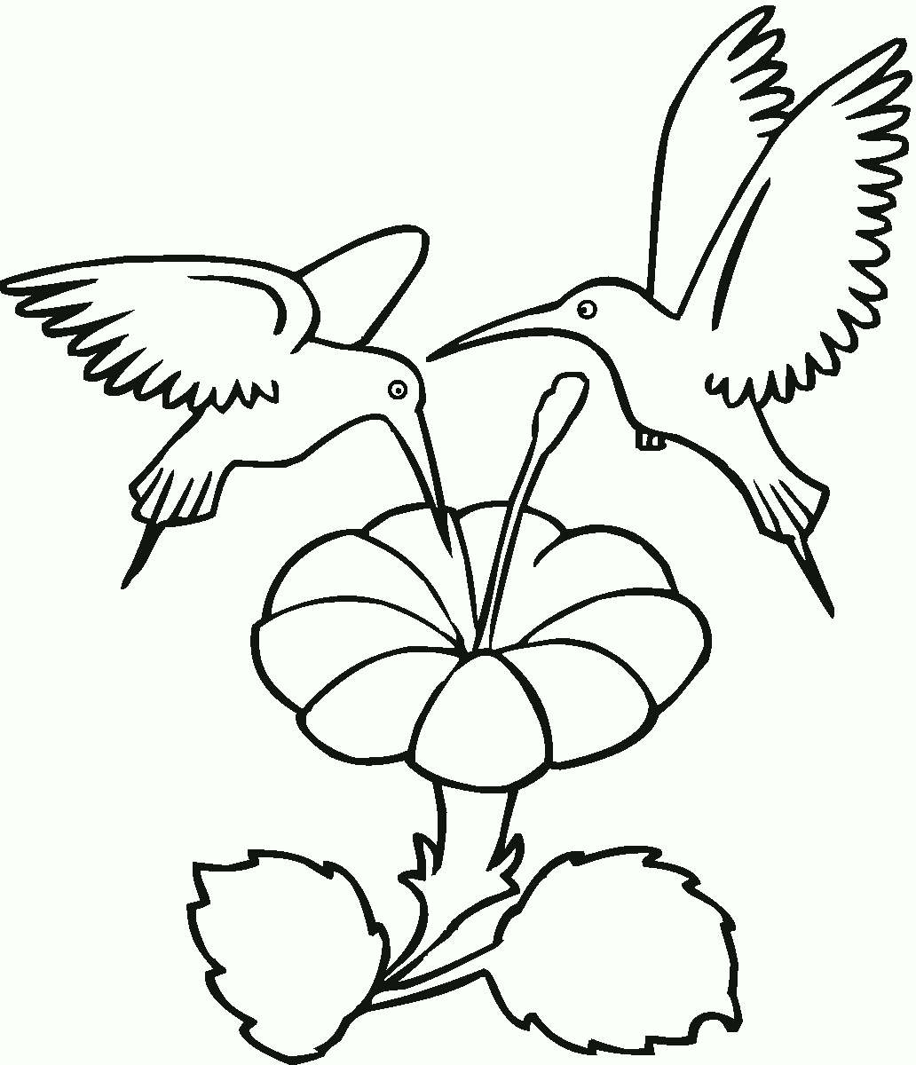 Printable Hummingbird Color Mosaic Pages