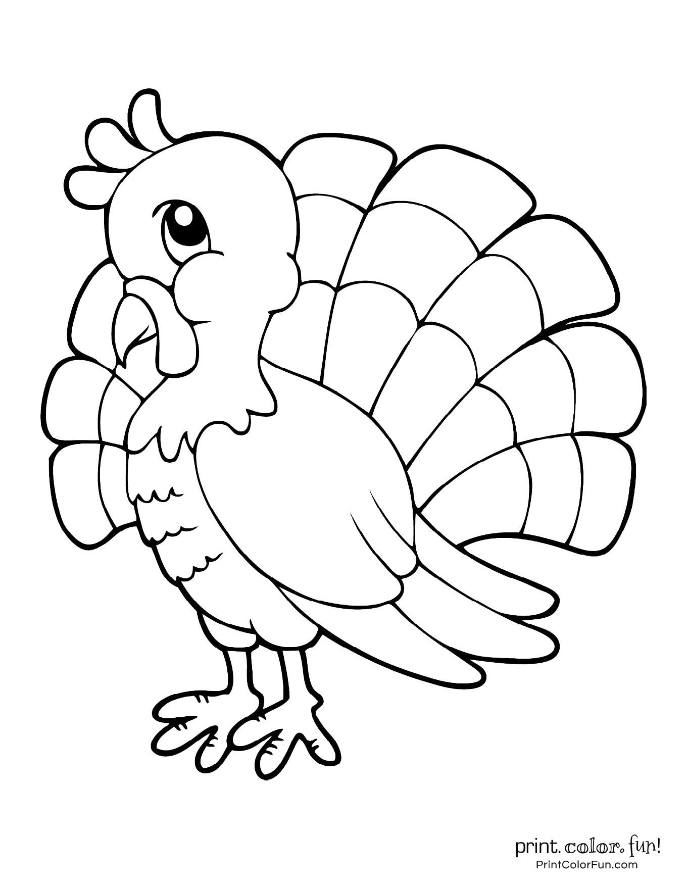 Turkey Coloring Pages Free Printable