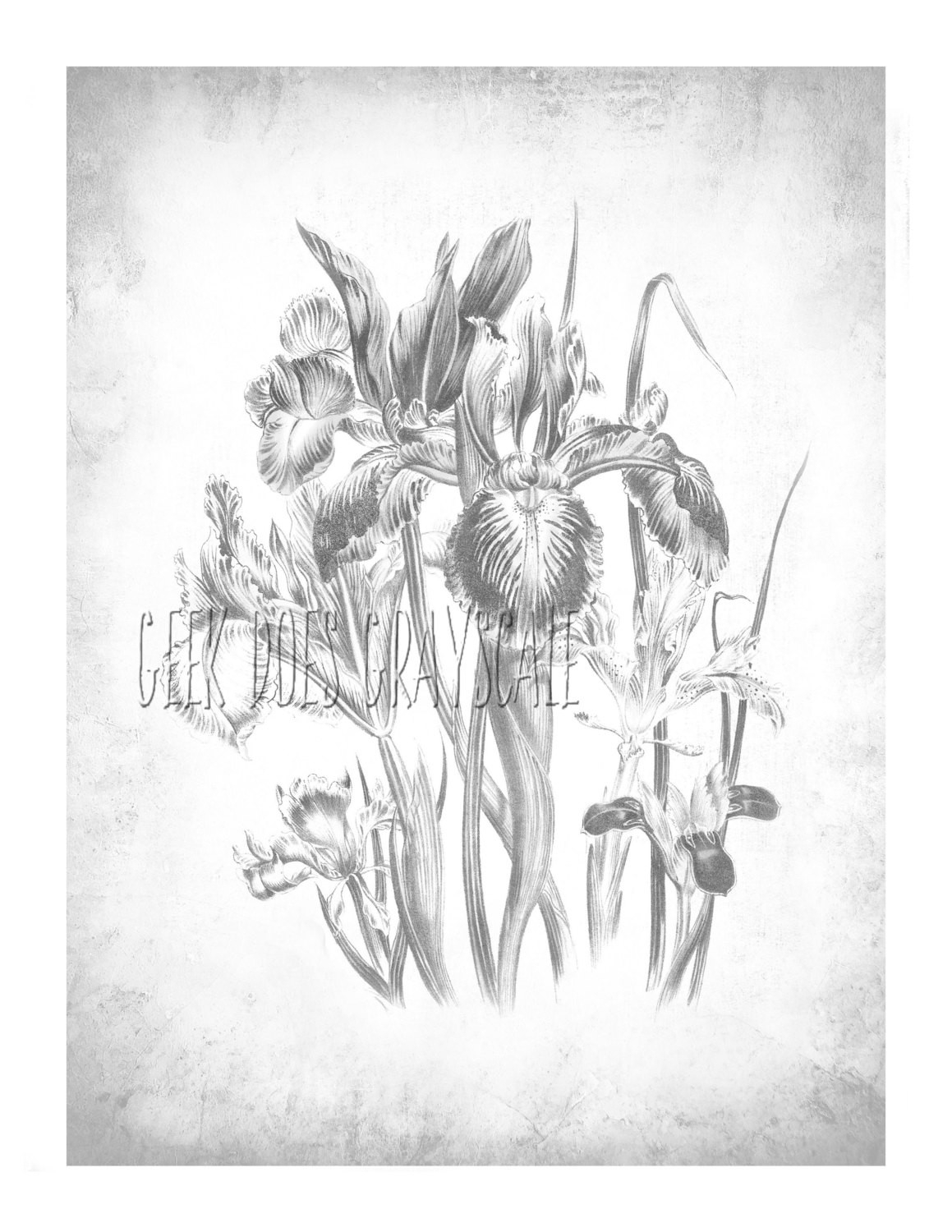 21 Best Free Printable Grayscale Coloring Pages Home Family Style And Art Ideas