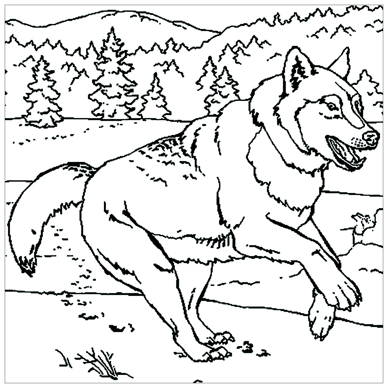 21 Coloring Pages Of Wolves Free Coloring Pages