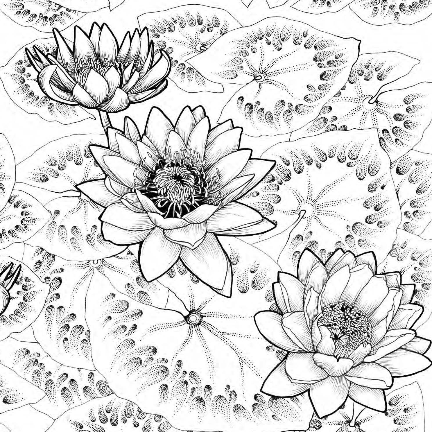 Klara Markova Printable Coloring Pages