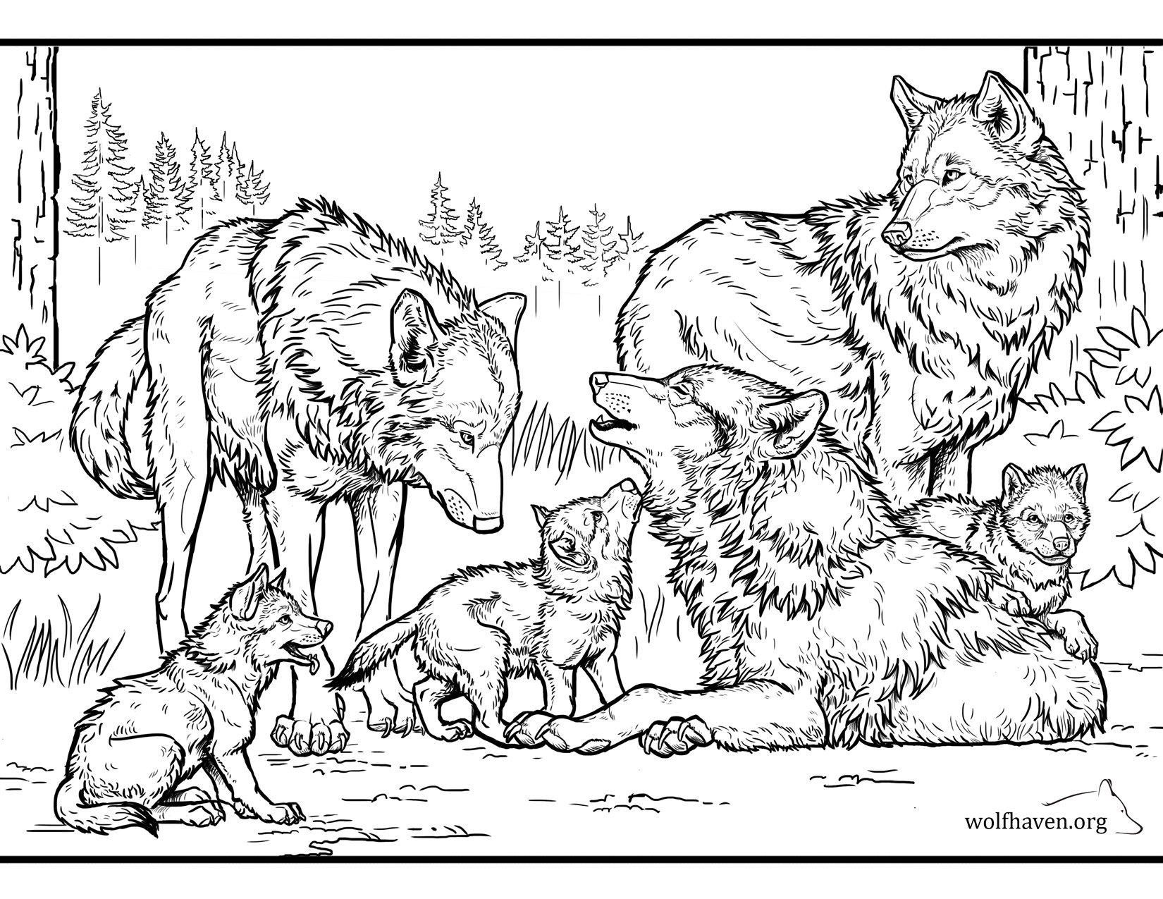 43 Best Ideas For Coloring Coloring Images Of Wolves