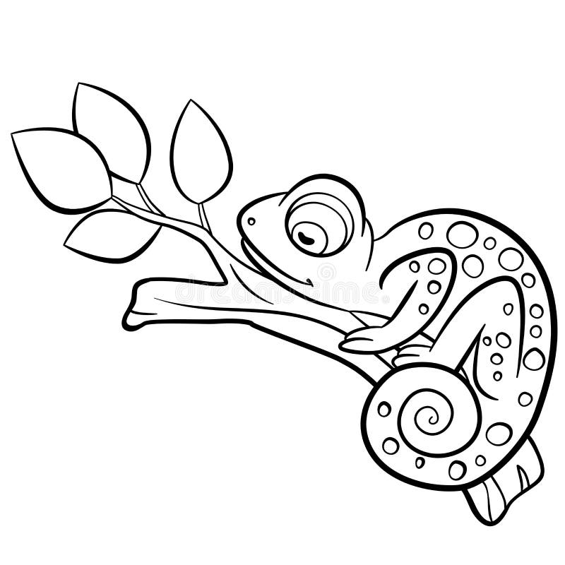 50 Best Ideas For Coloring Camouflage Animals Coloring Pages