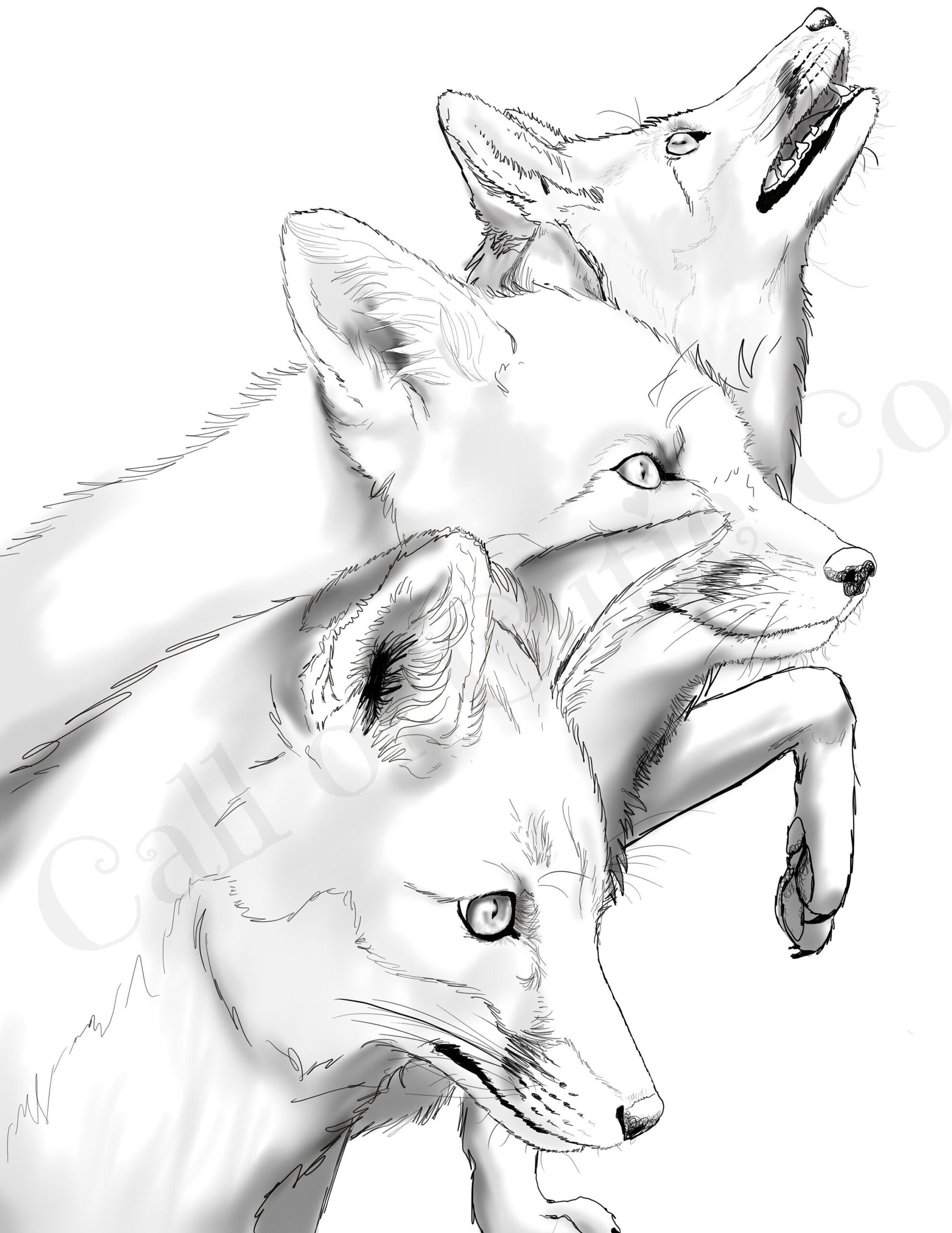 60 Coloring Pages For Adults Realistic Animals Latest Coloring Pages Printable