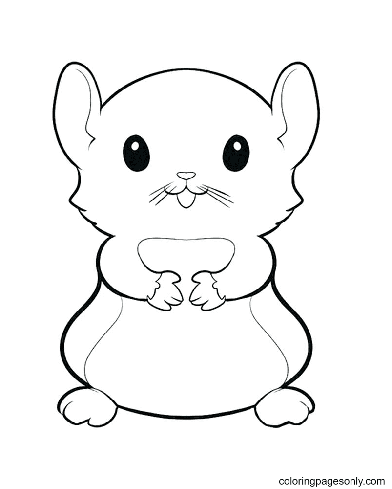 60 Hamster Coloring Pages ColoringPagesOnly