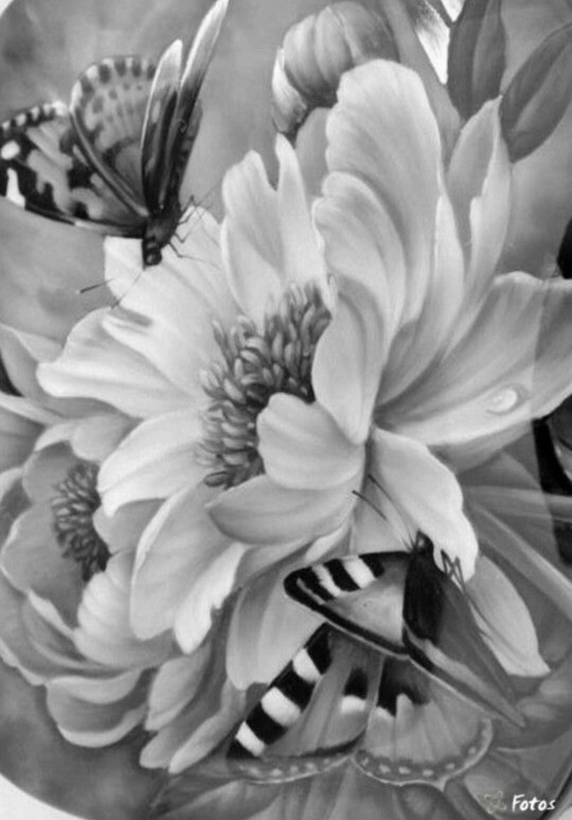 92 Free Grayscale Coloring Pages To Print Frauki Chererbse