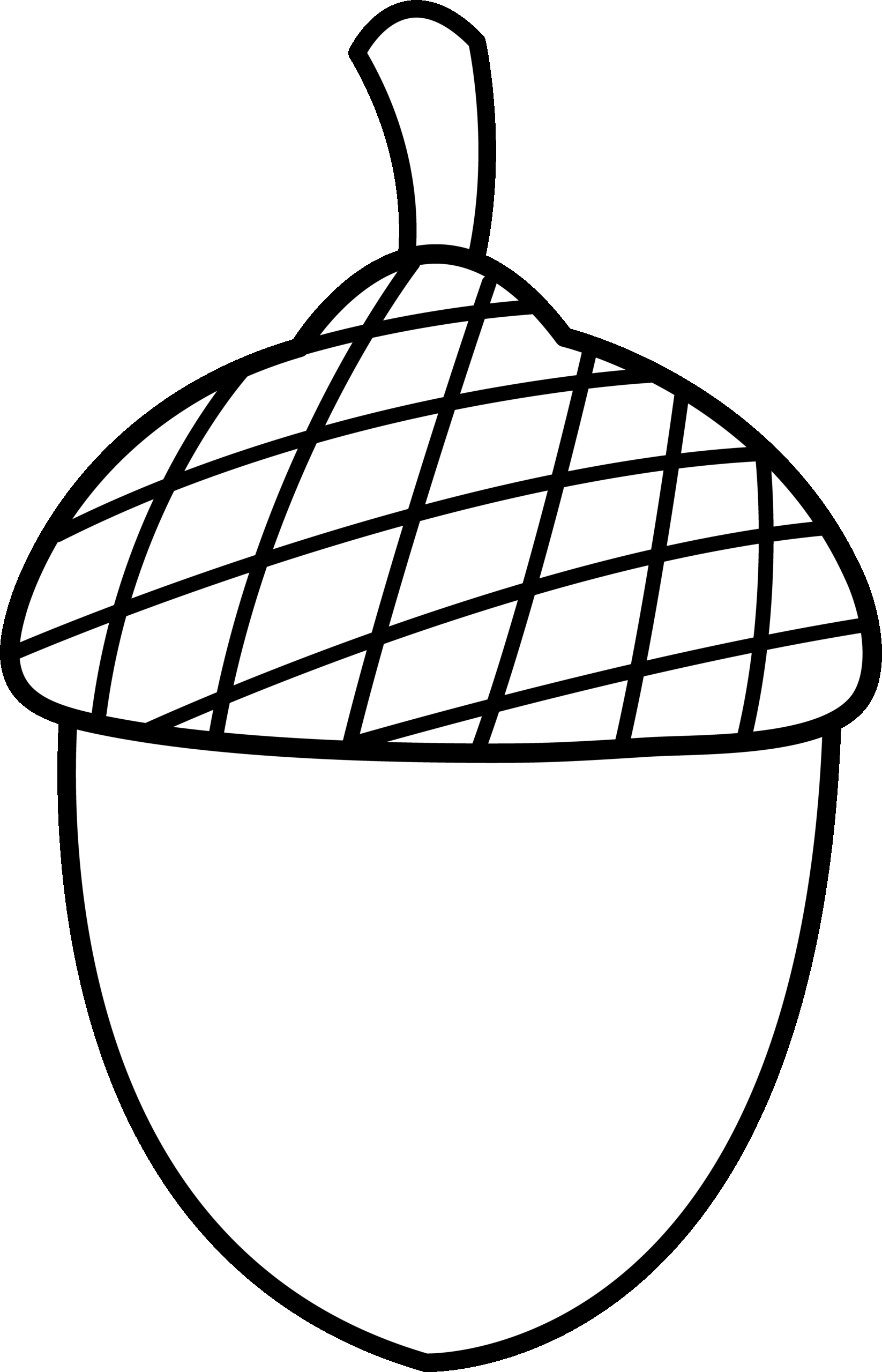 Acorn Coloring Page At GetColorings Free Printable Colorings Pages To Print And Color