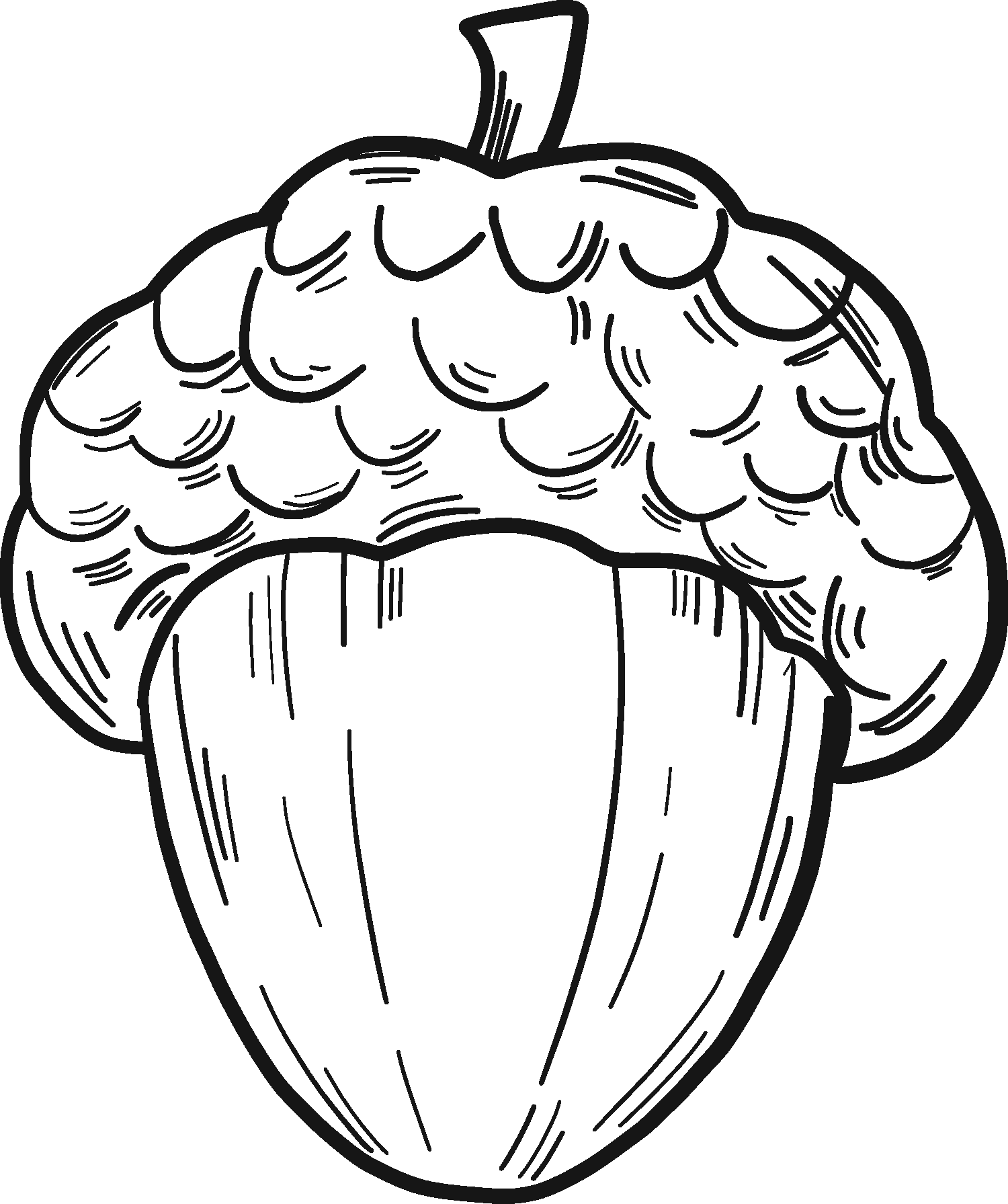 Acorn Coloring Page ColouringPages