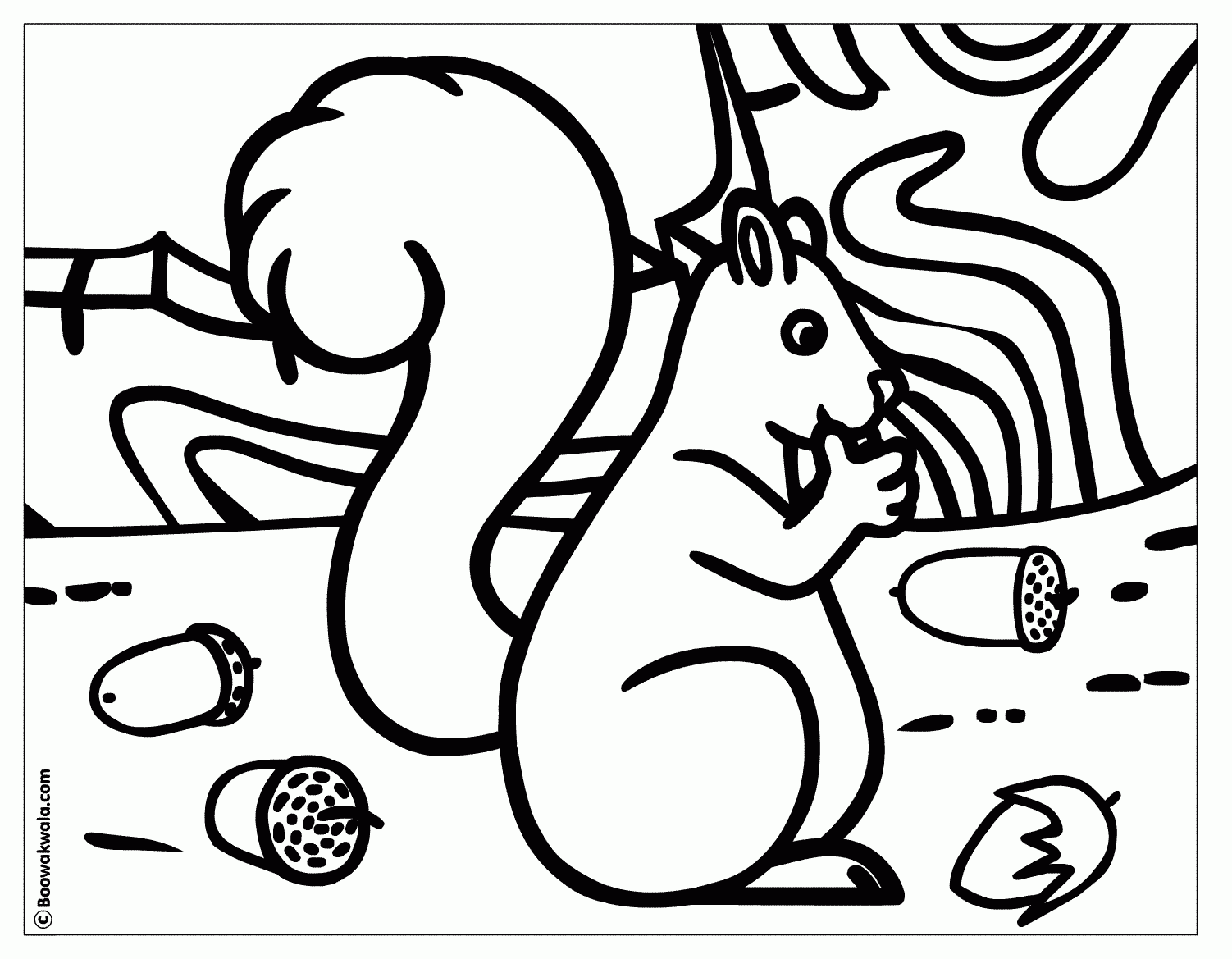 Acorn Coloring Pages Free Printable Acorn Coloring Sheets For Kids
