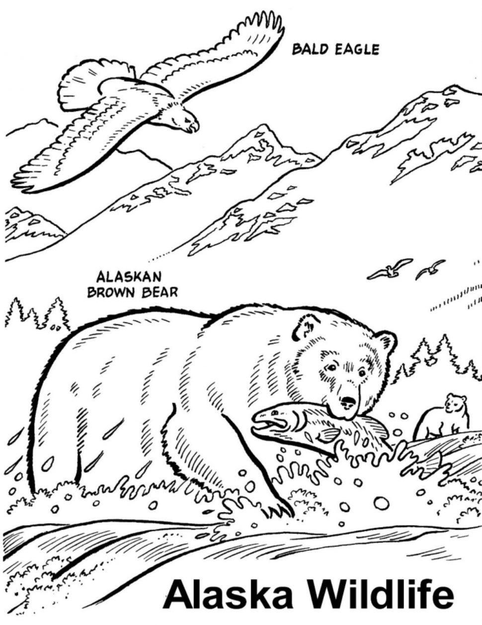 Alaska Coloring Pages At GetColorings Free Printable Colorings Pages To Print And Color