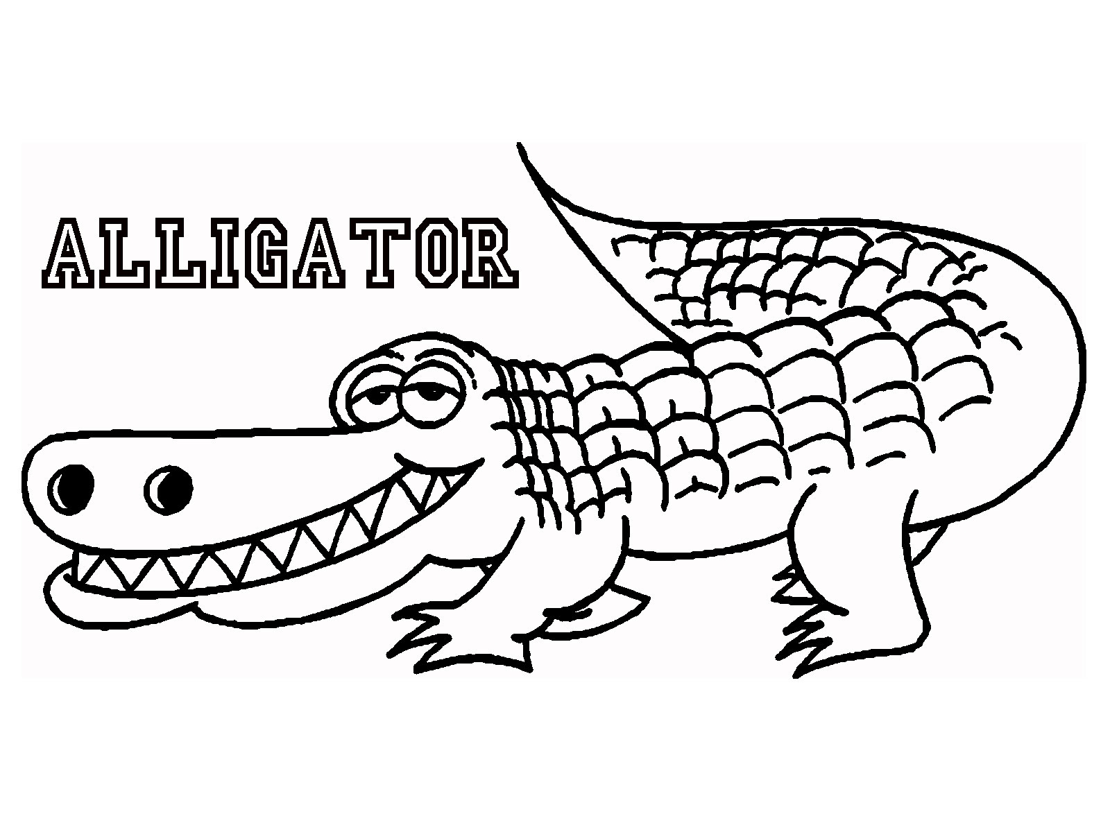 Printable Alligator Coloring Pages
