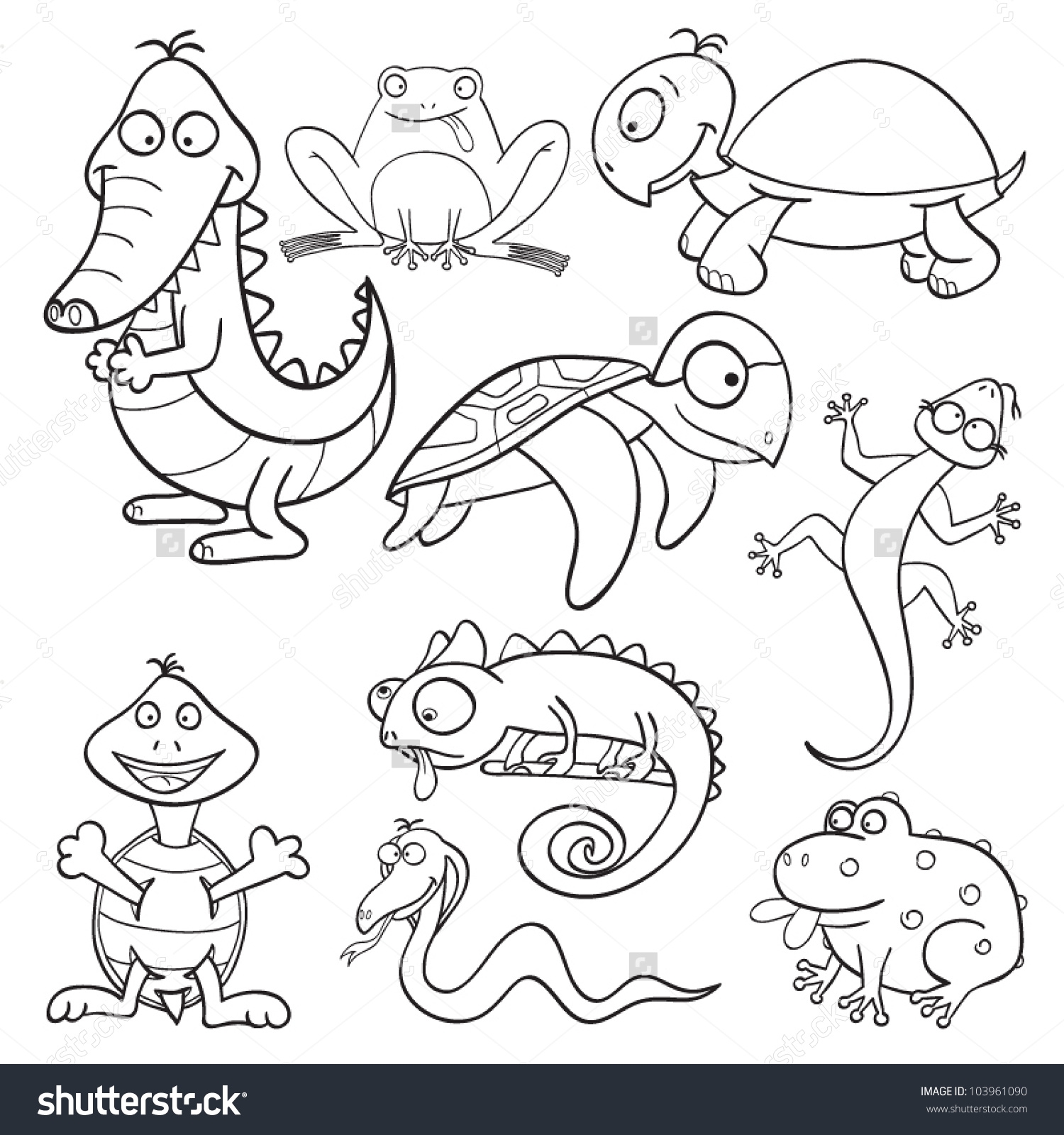 Amphibian Coloring Download Amphibian Coloring For Free 2019