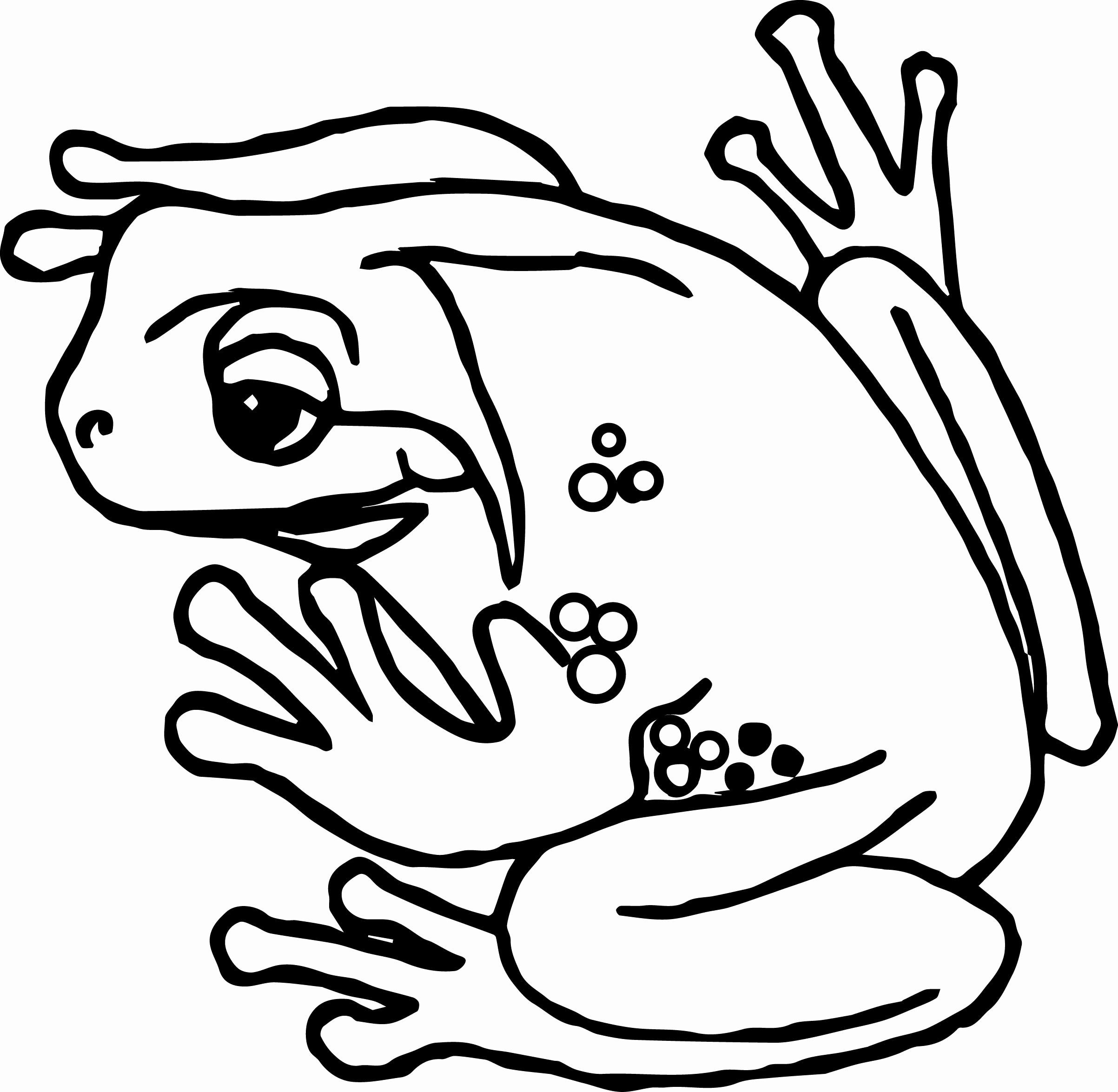 Amphibian Coloring Pages Amanda Gregory S Coloring Pages