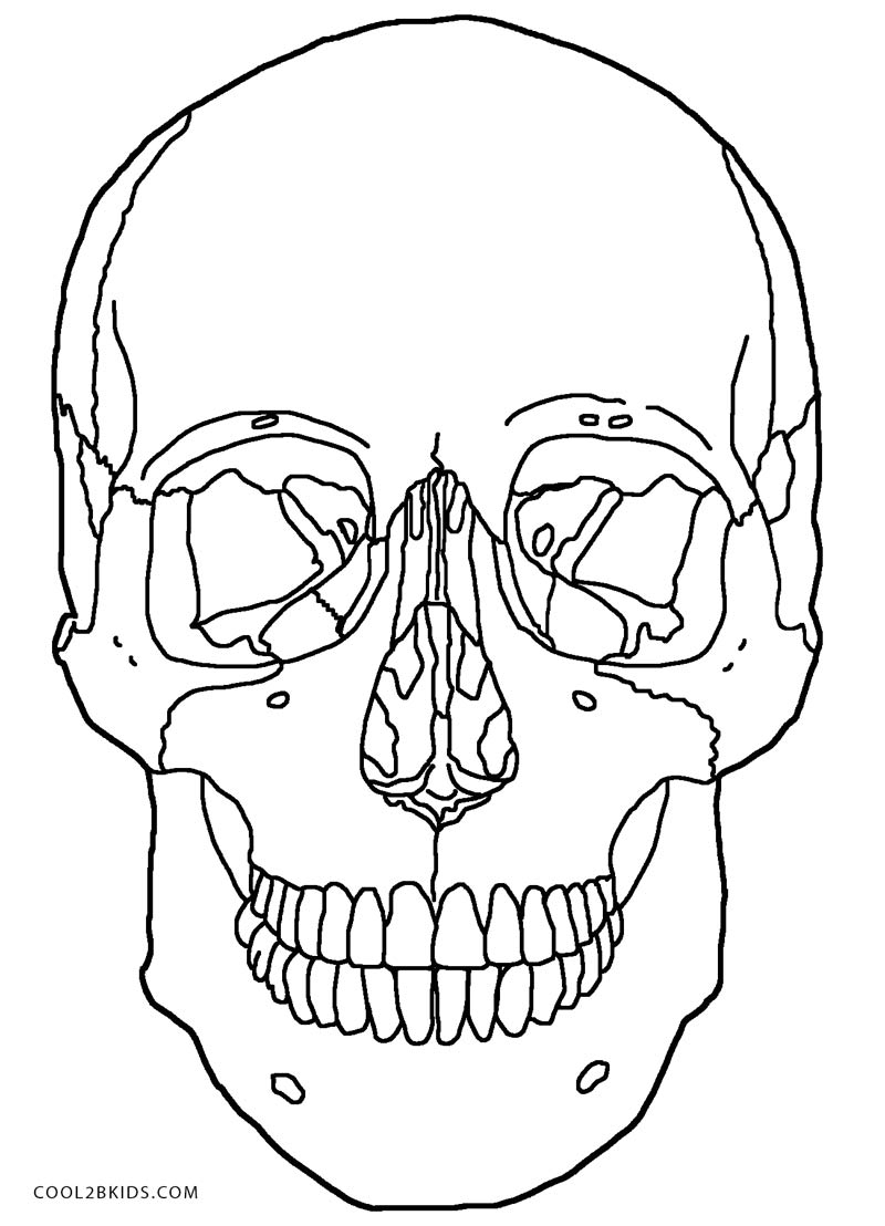 Anatomy Printable Coloring Pages